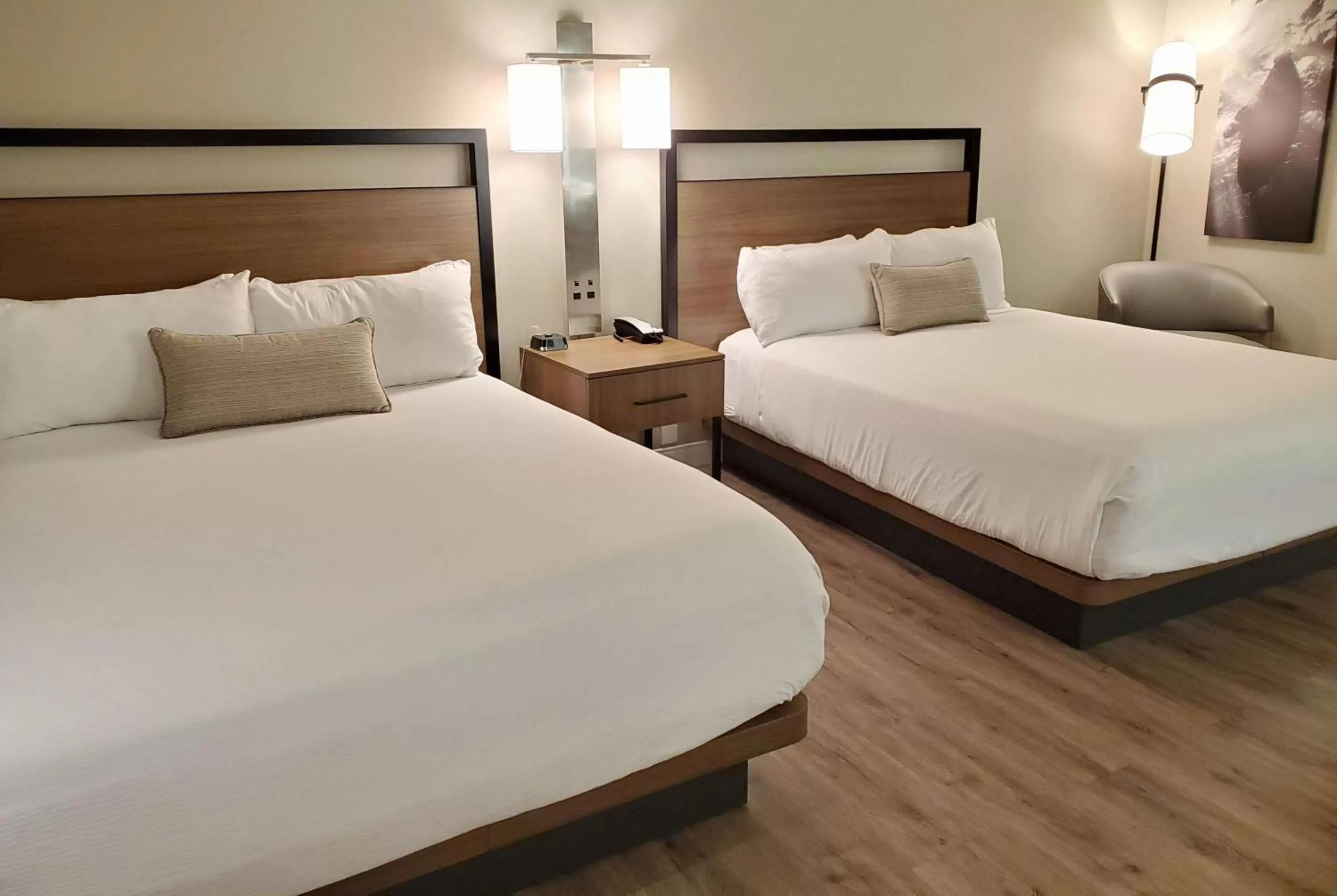 Photo of the whole room, Bed in Wyndham Garden San Diego