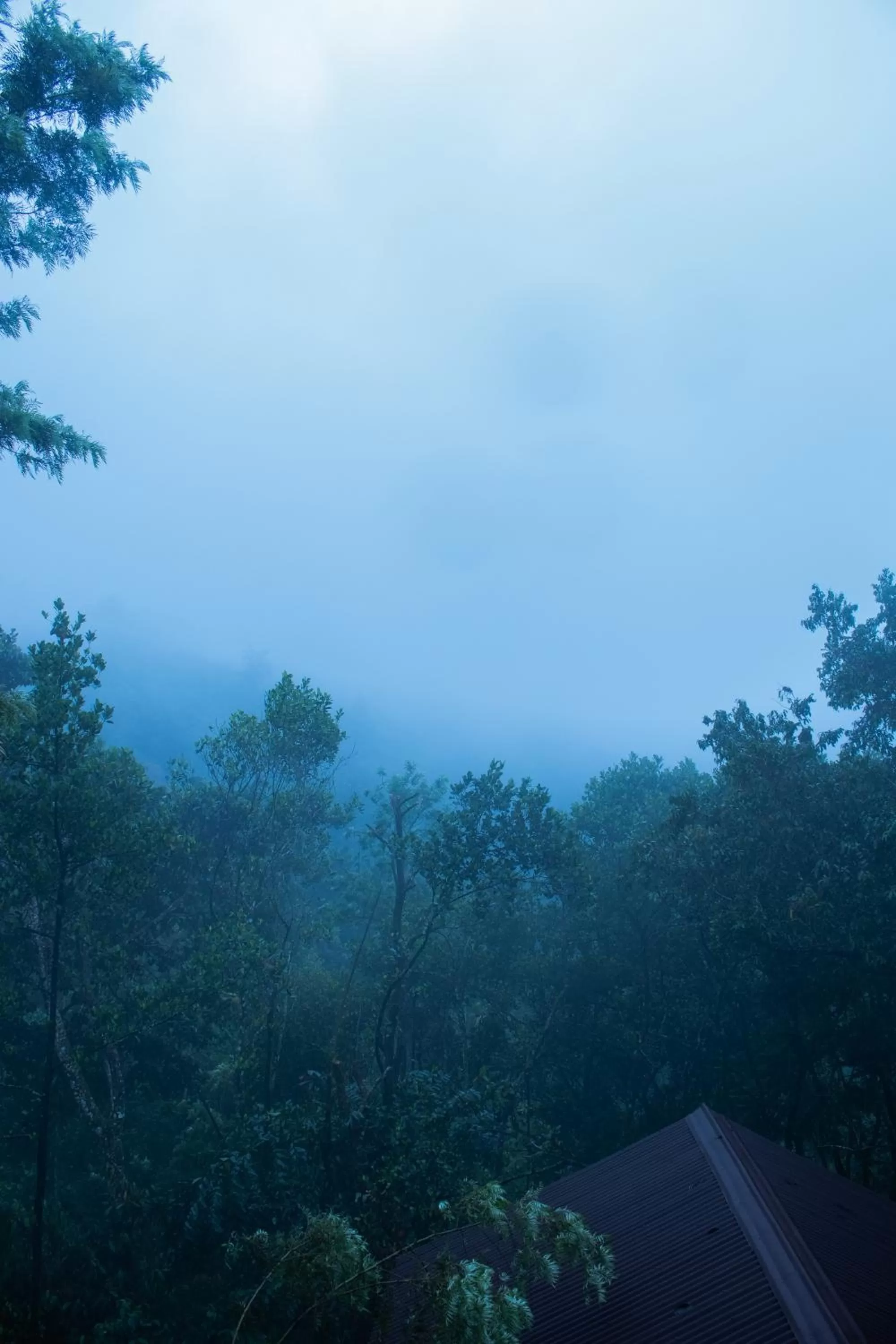 Natural landscape in Edens Munnar