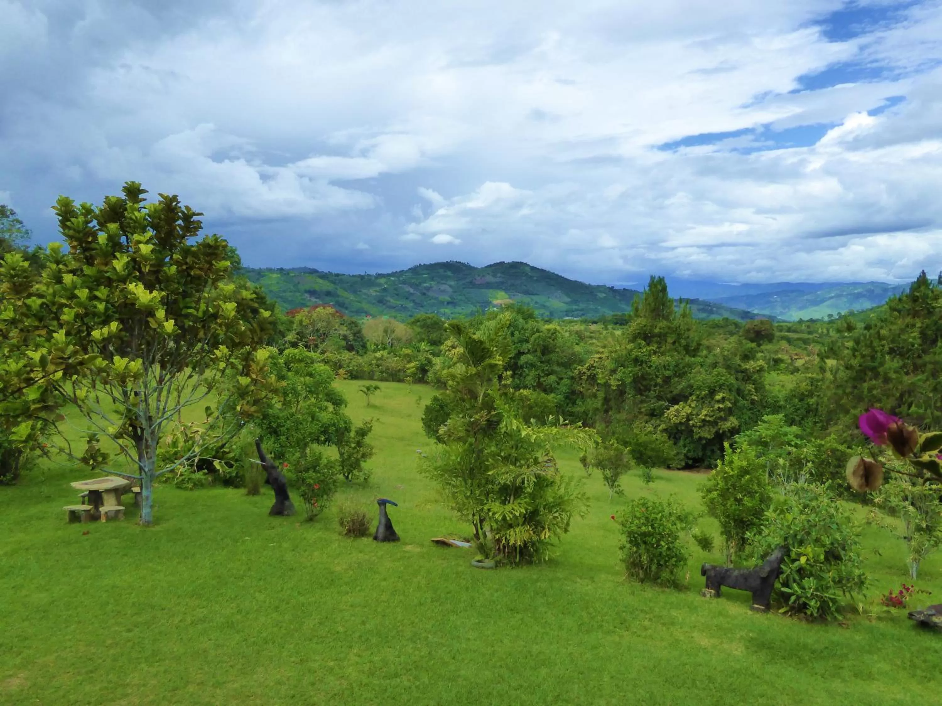 Garden in Finca El Cielo