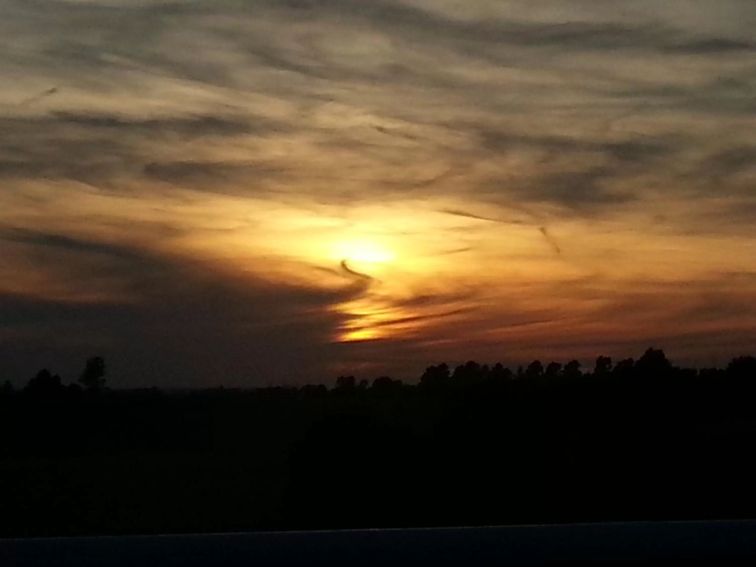 Natural landscape in Roskilde B&B