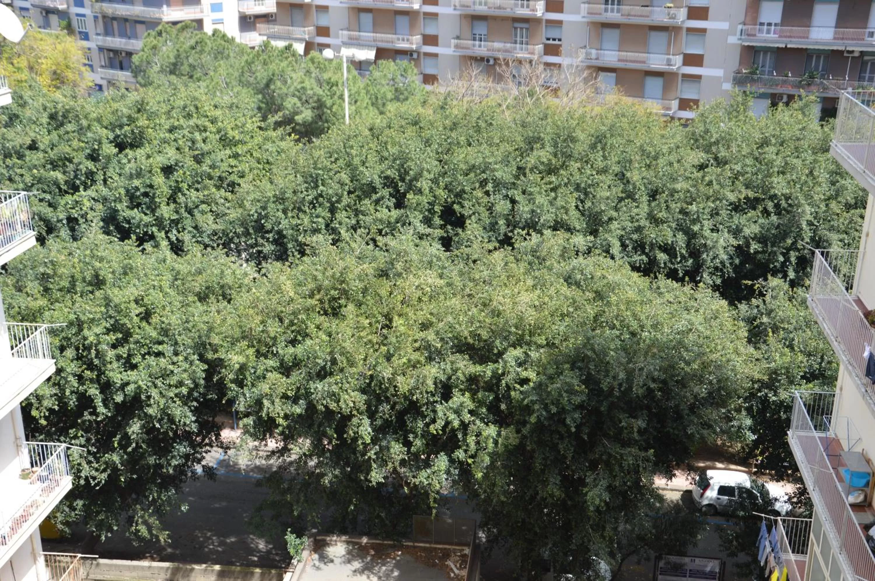 Property building in Michelangelo Rooms