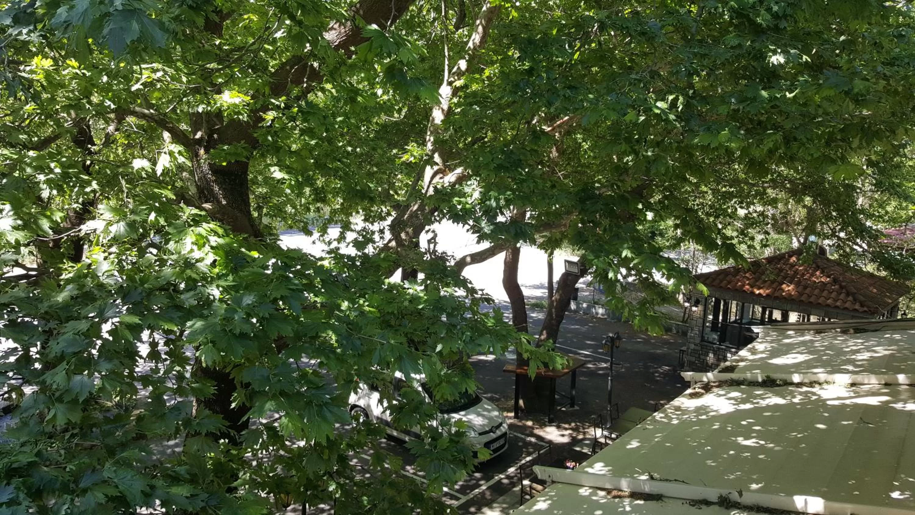 Natural landscape in Hani Zemenou