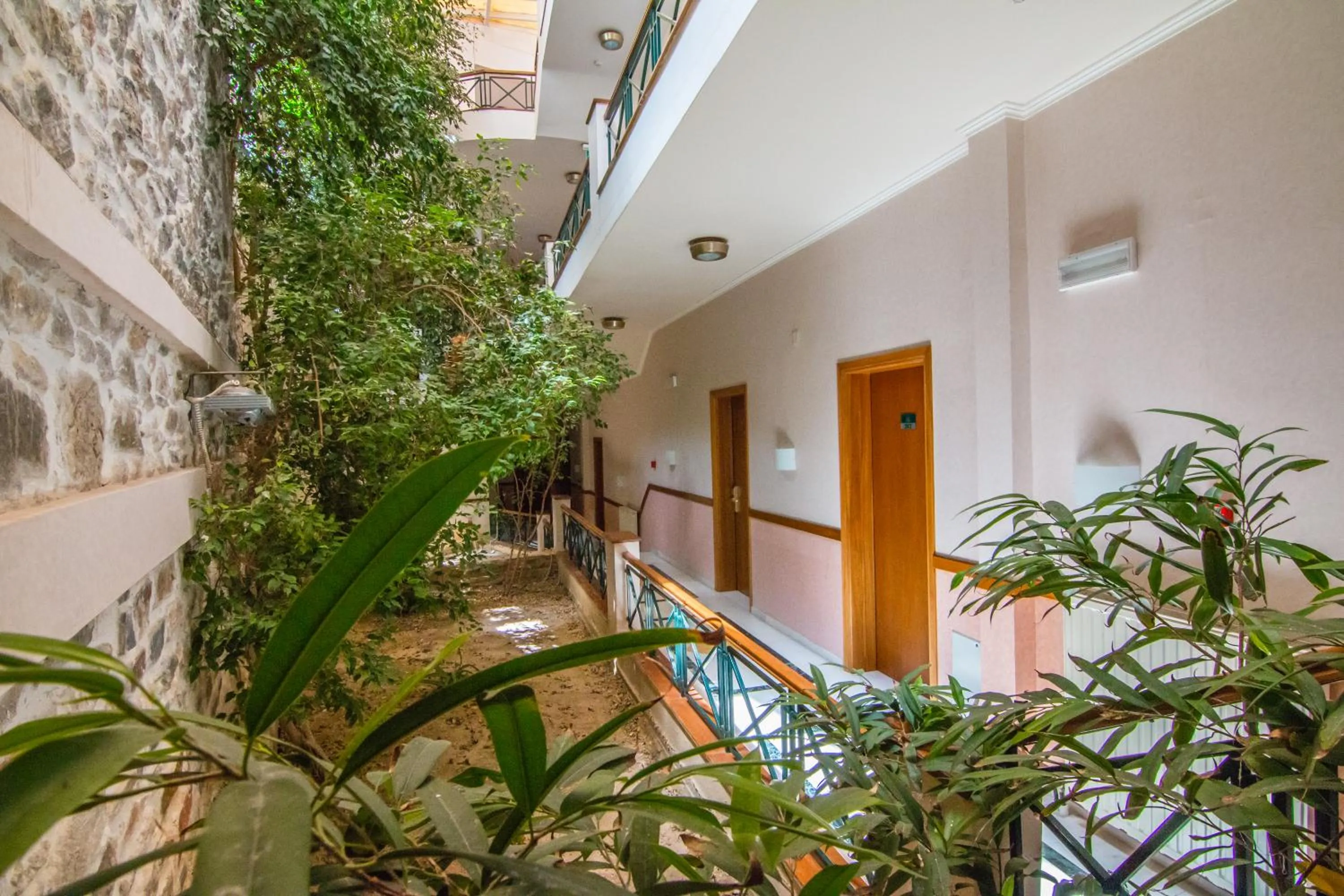 Area and facilities in Hotel Hermes