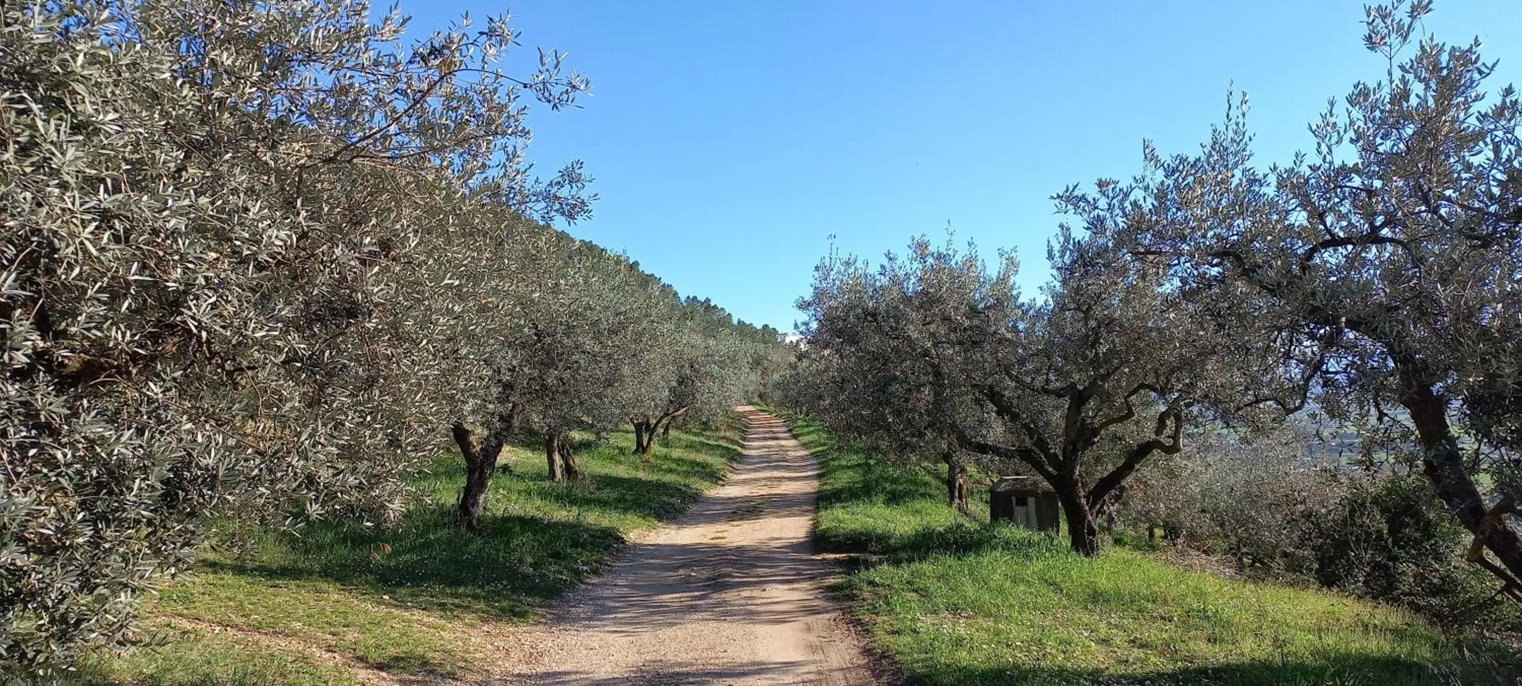 Domus Antiqua Bed & Breakfast