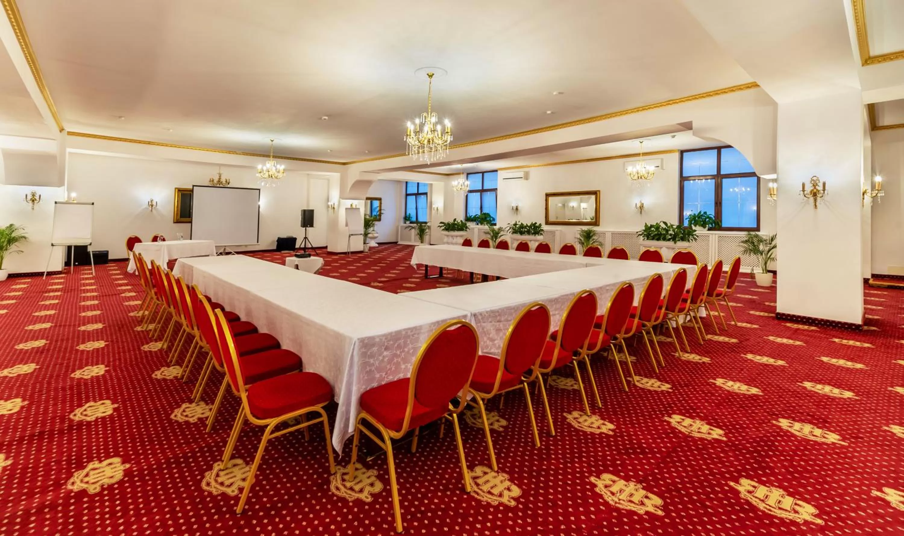 Business facilities in Hotel Imparatul Romanilor Hotel & SPA