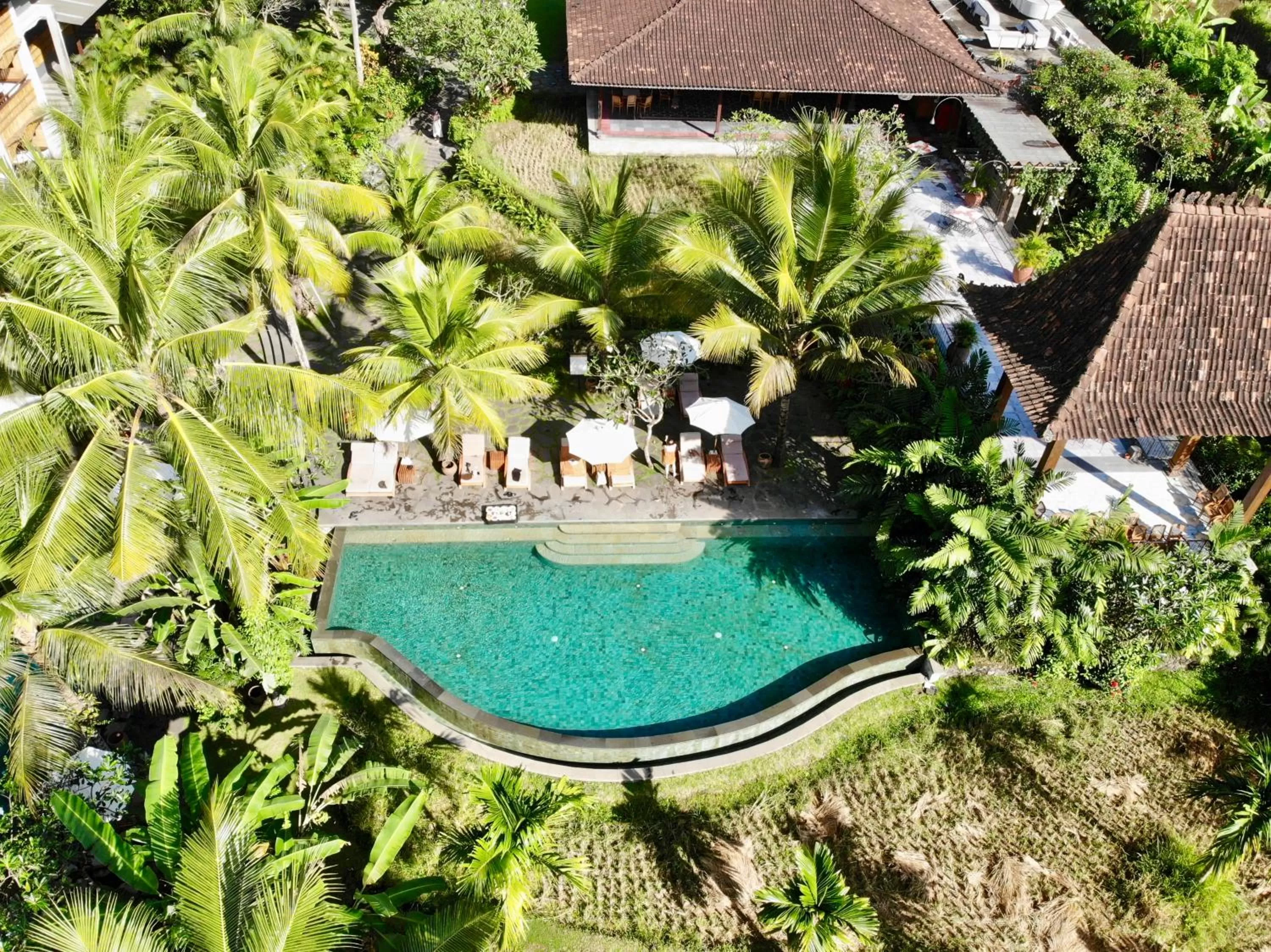 Pool view in Alaya Resort Ubud