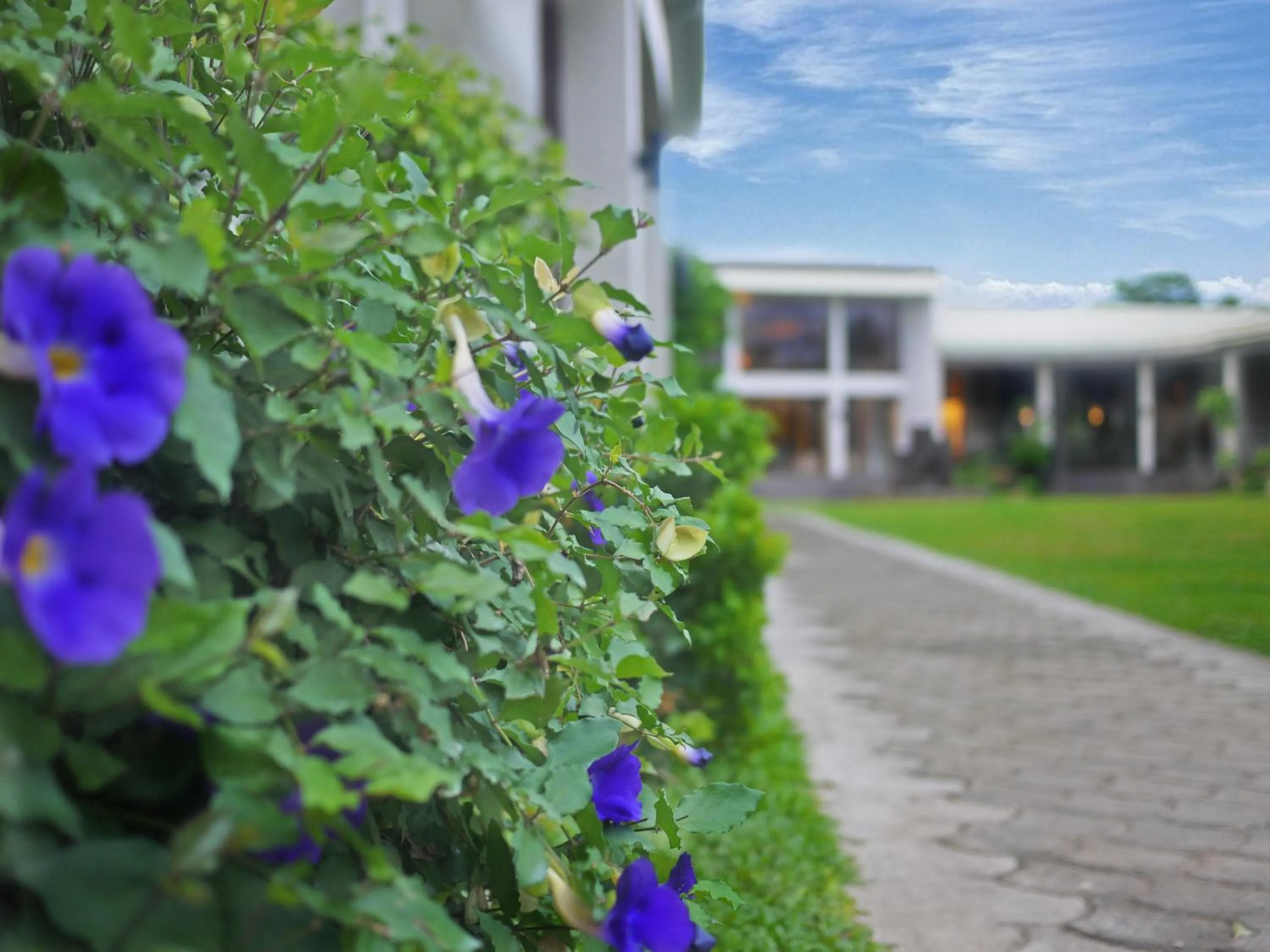 Other in Ariana Hotel