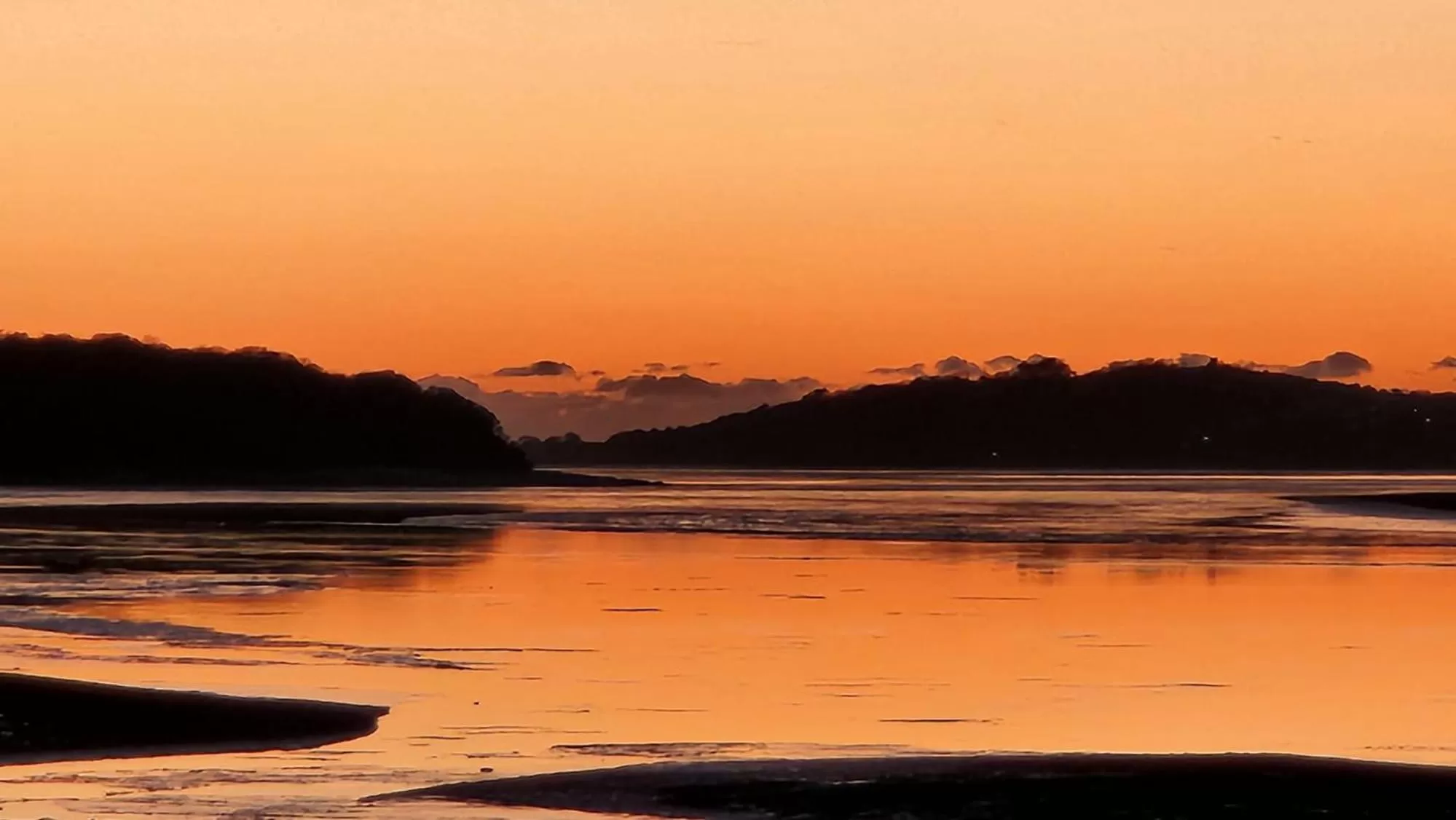 Ye Olde Fighting Cocks