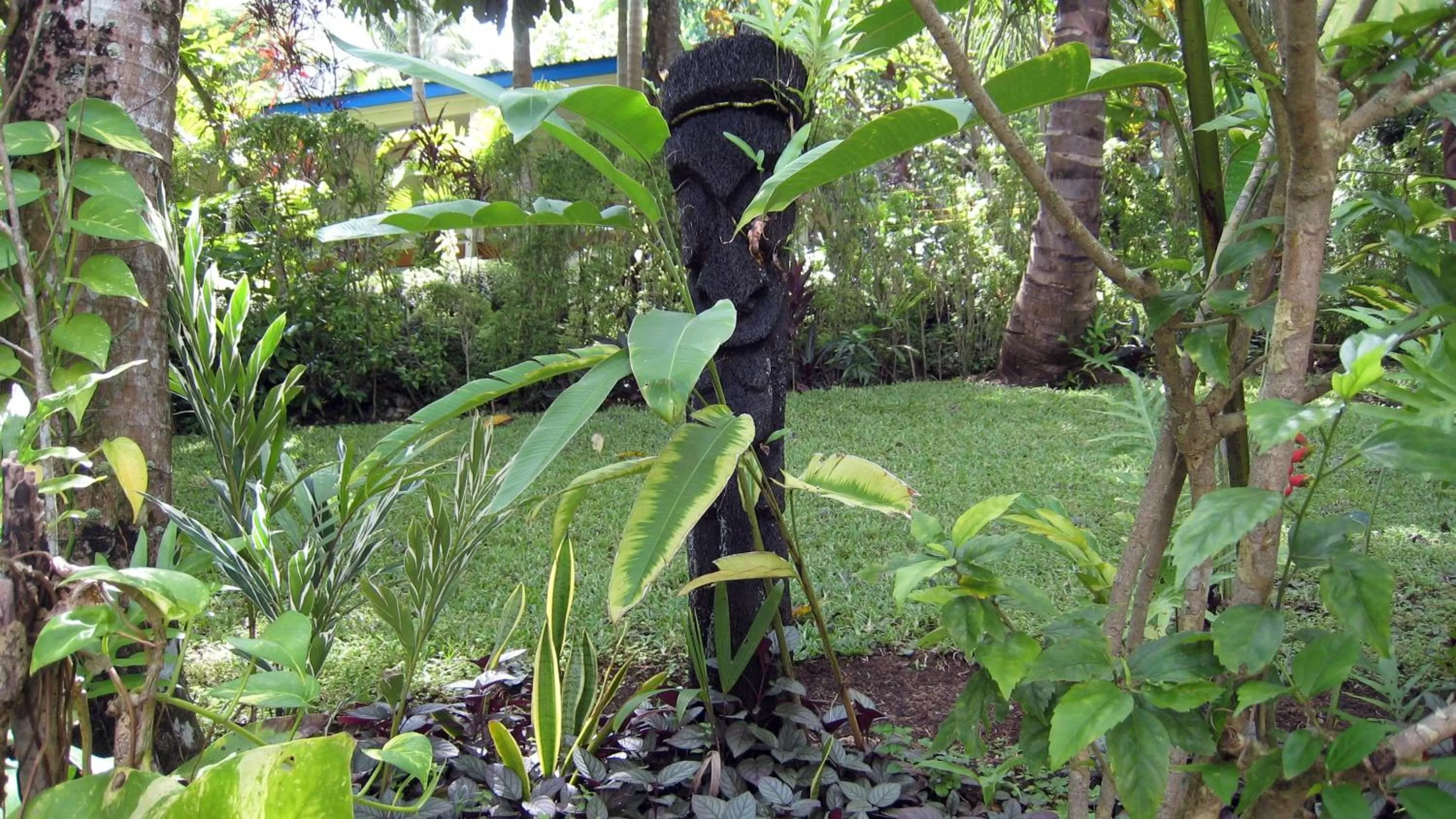 Garden in Coral Motel & Apartments