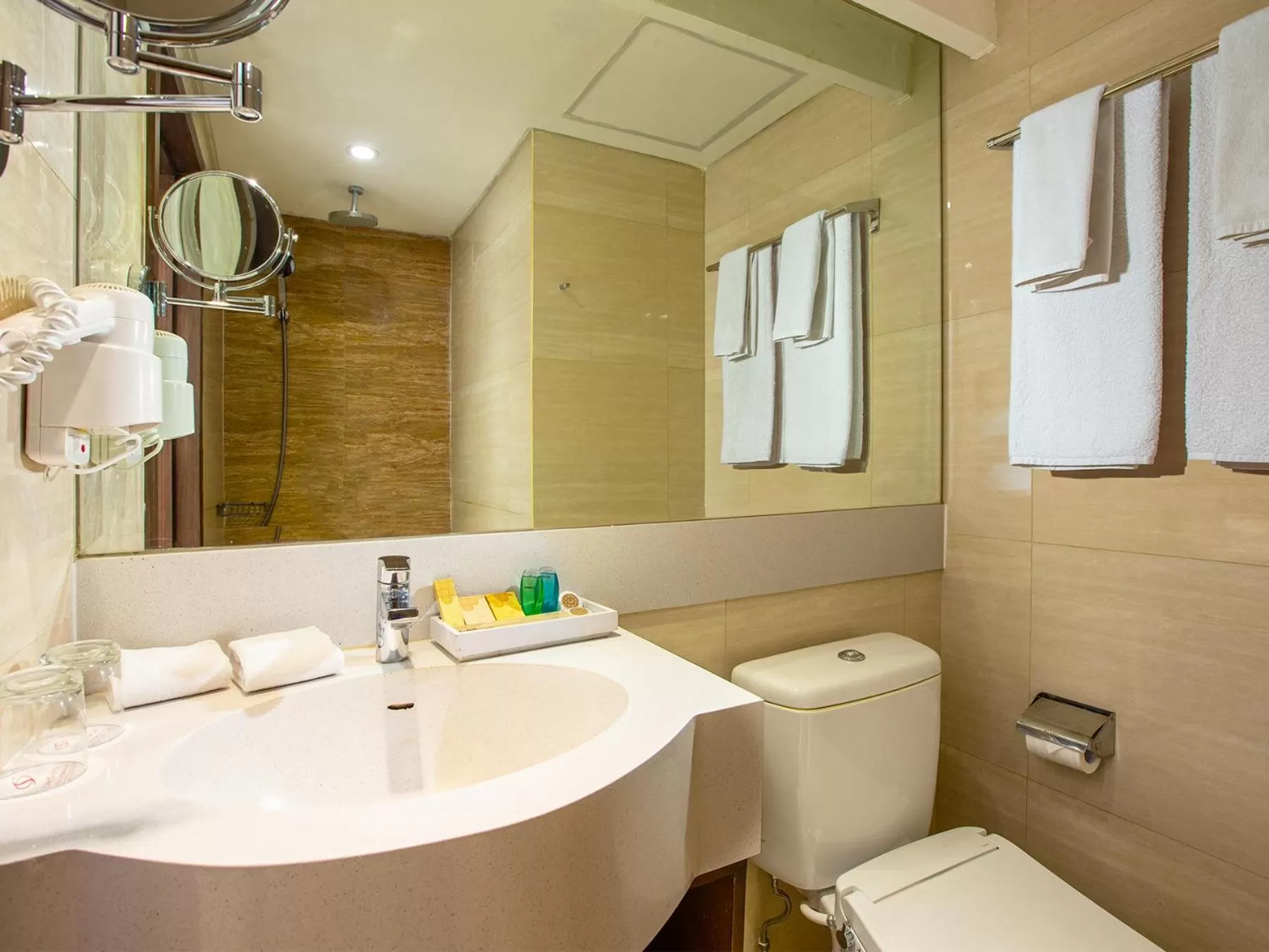 Shower in Sahid Raya Hotel & Convention Yogyakarta