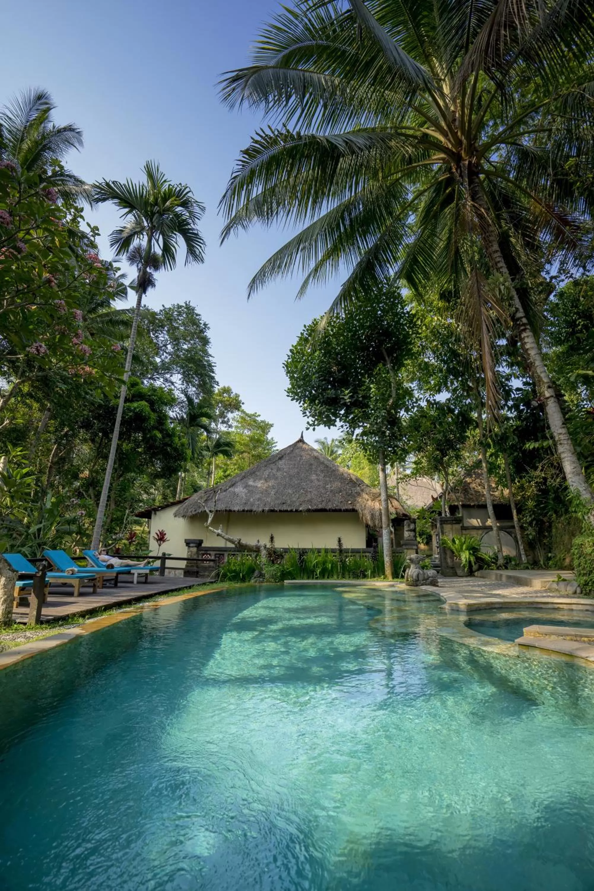 Day in Ubud Sari Health Resort
