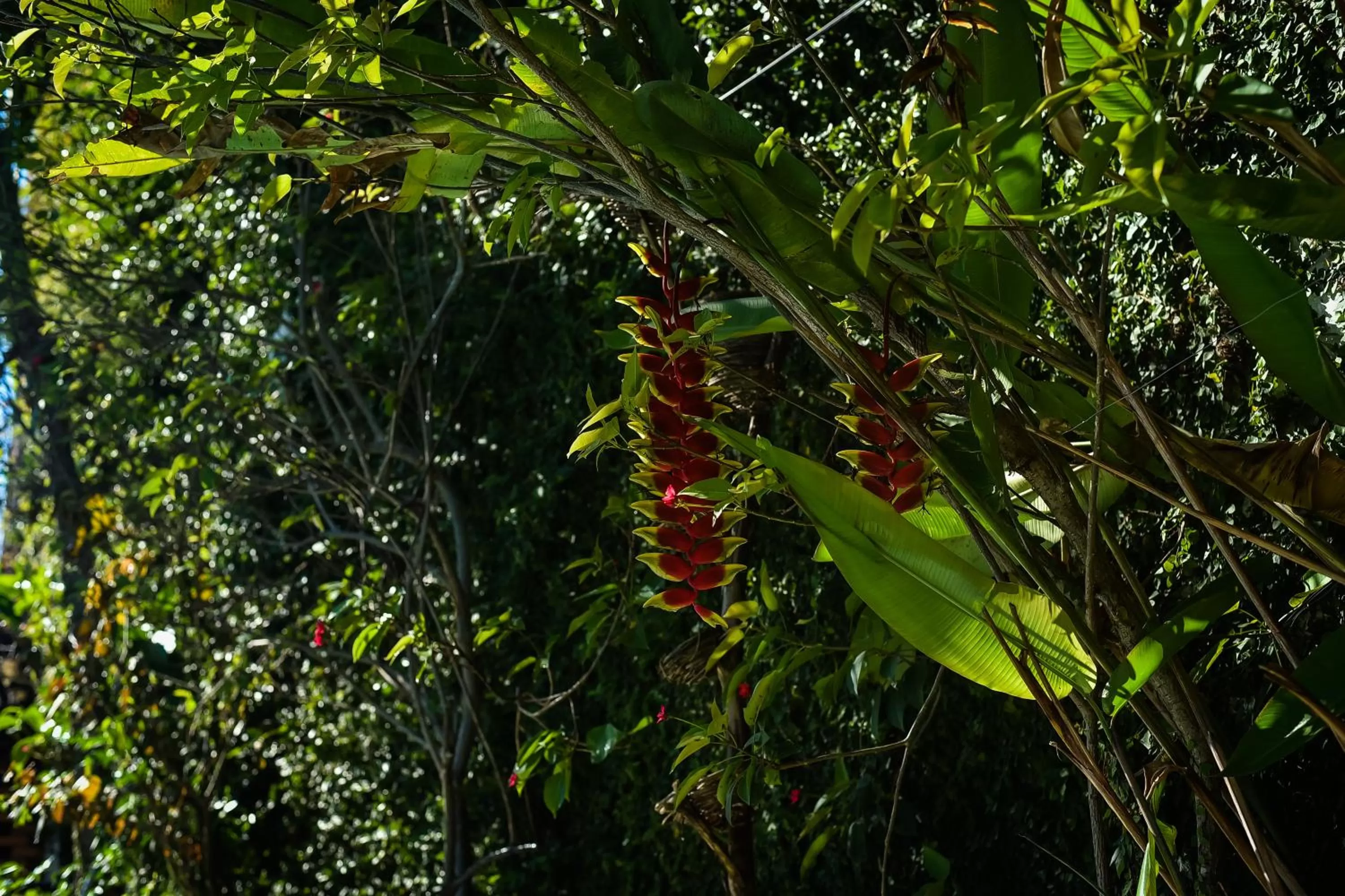 Hosteria Chata Adults Only