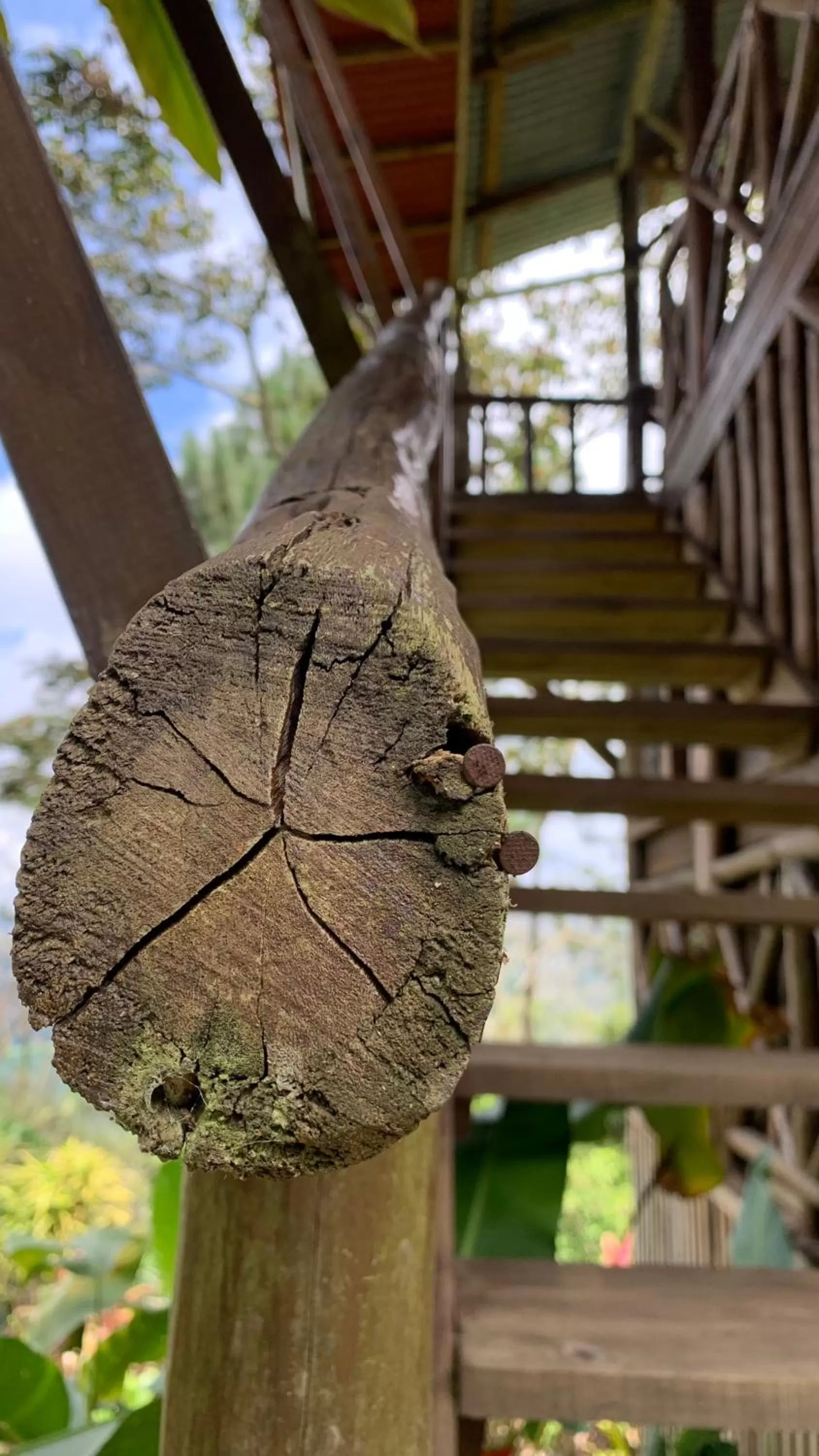 Property building in Vista Turrialba Lodge