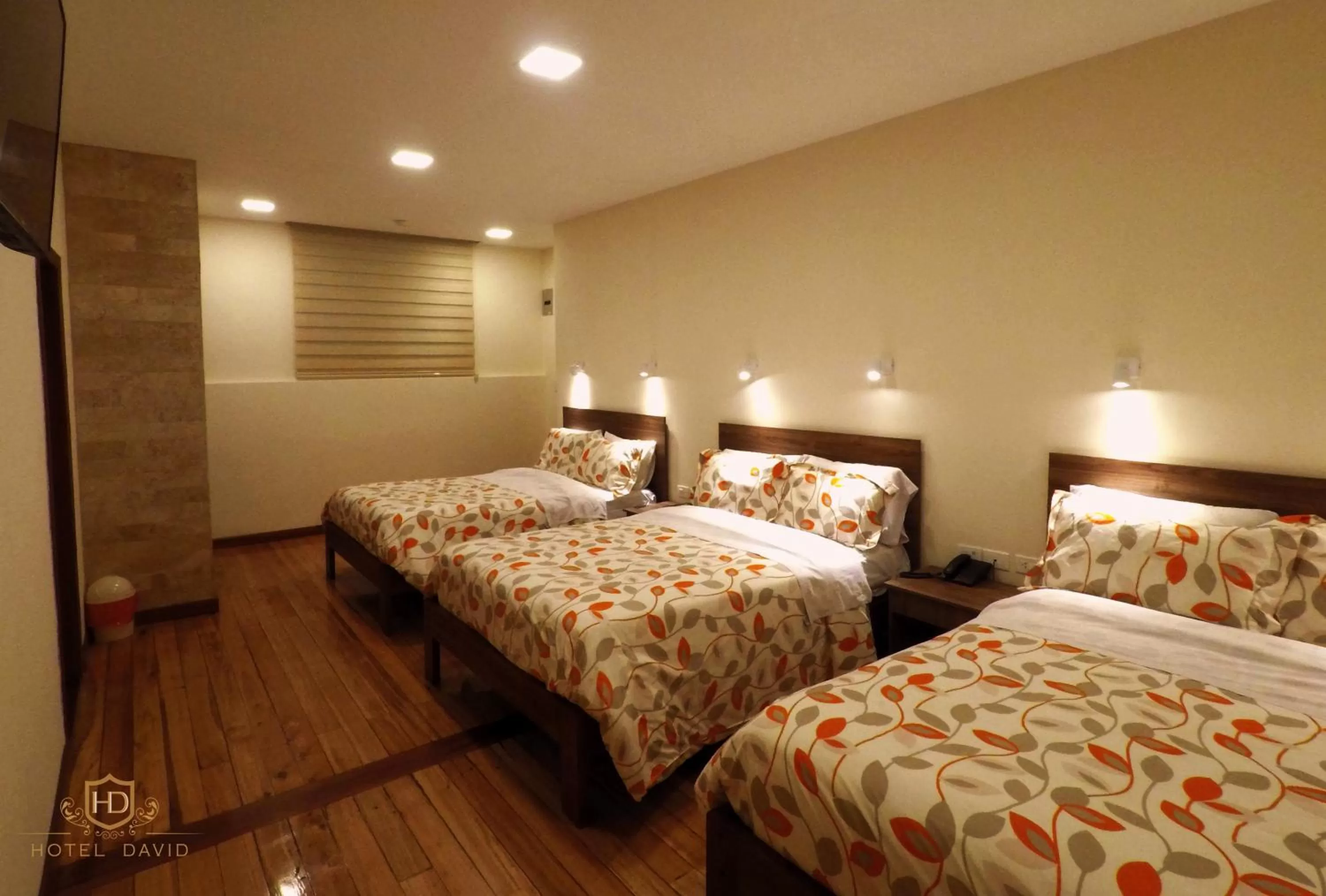 Photo of the whole room, Bed in Hotel David