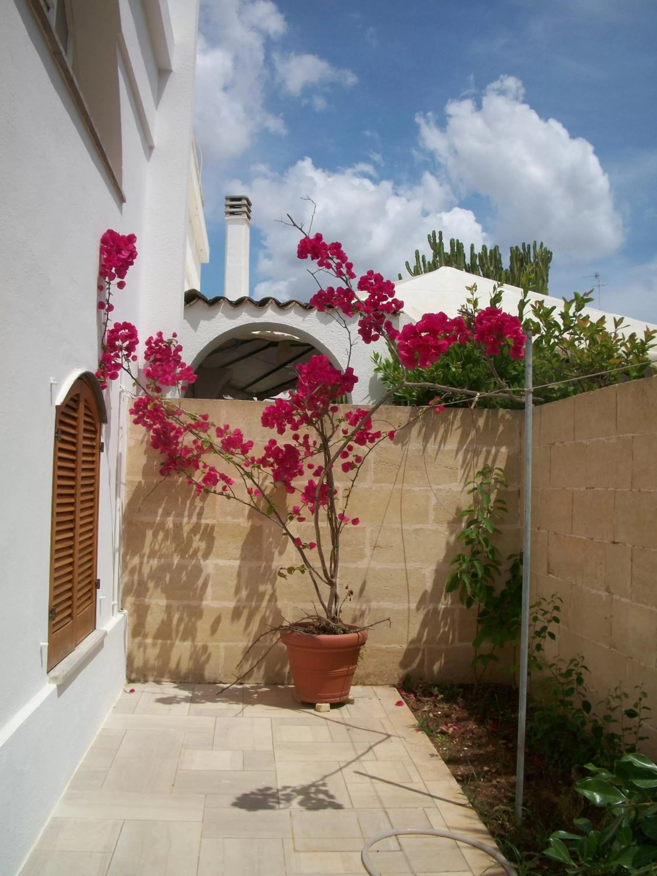 Balcony/Terrace in La Corte di Leuca Residence