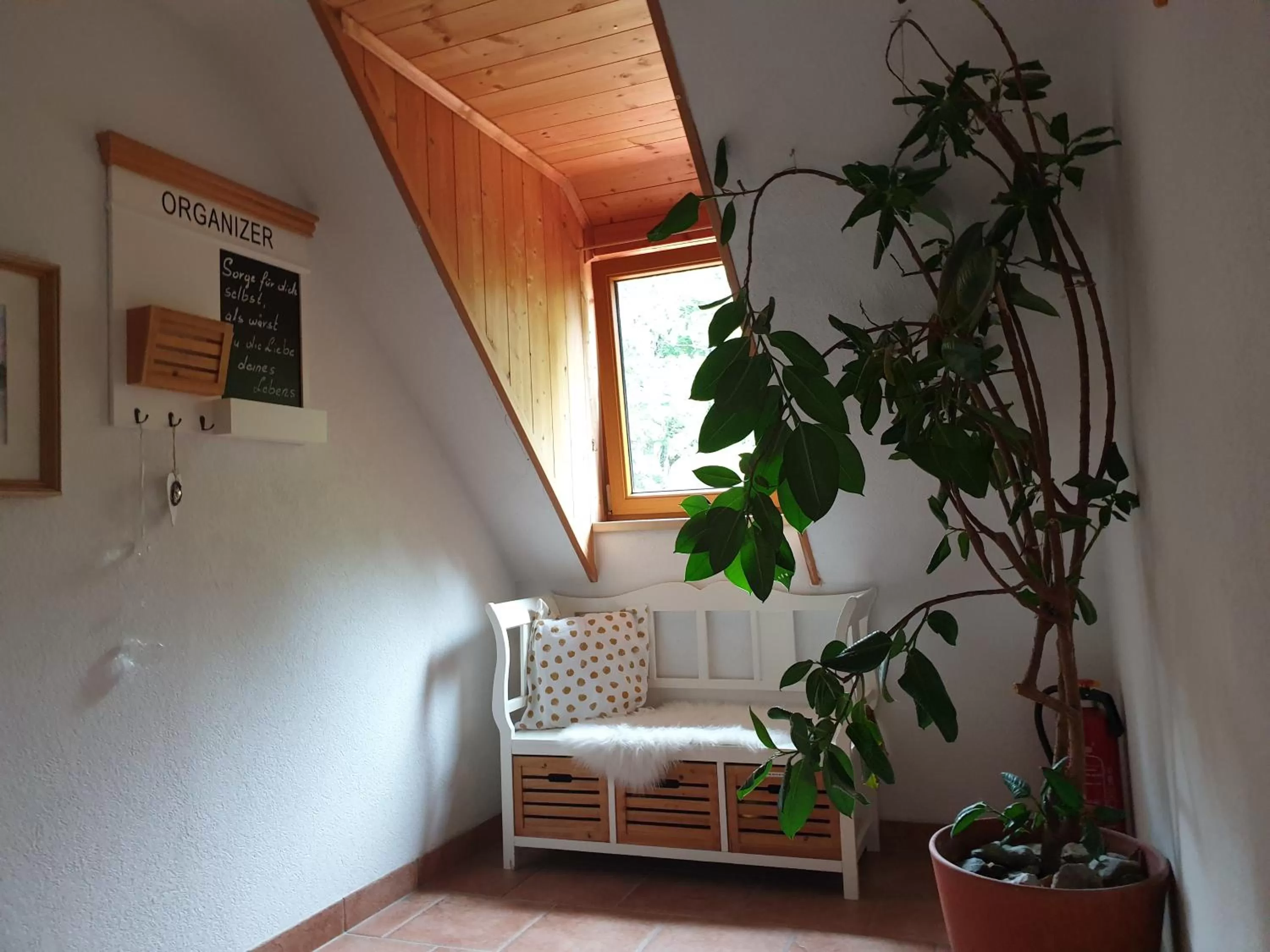 Property building in Bergführerhaus