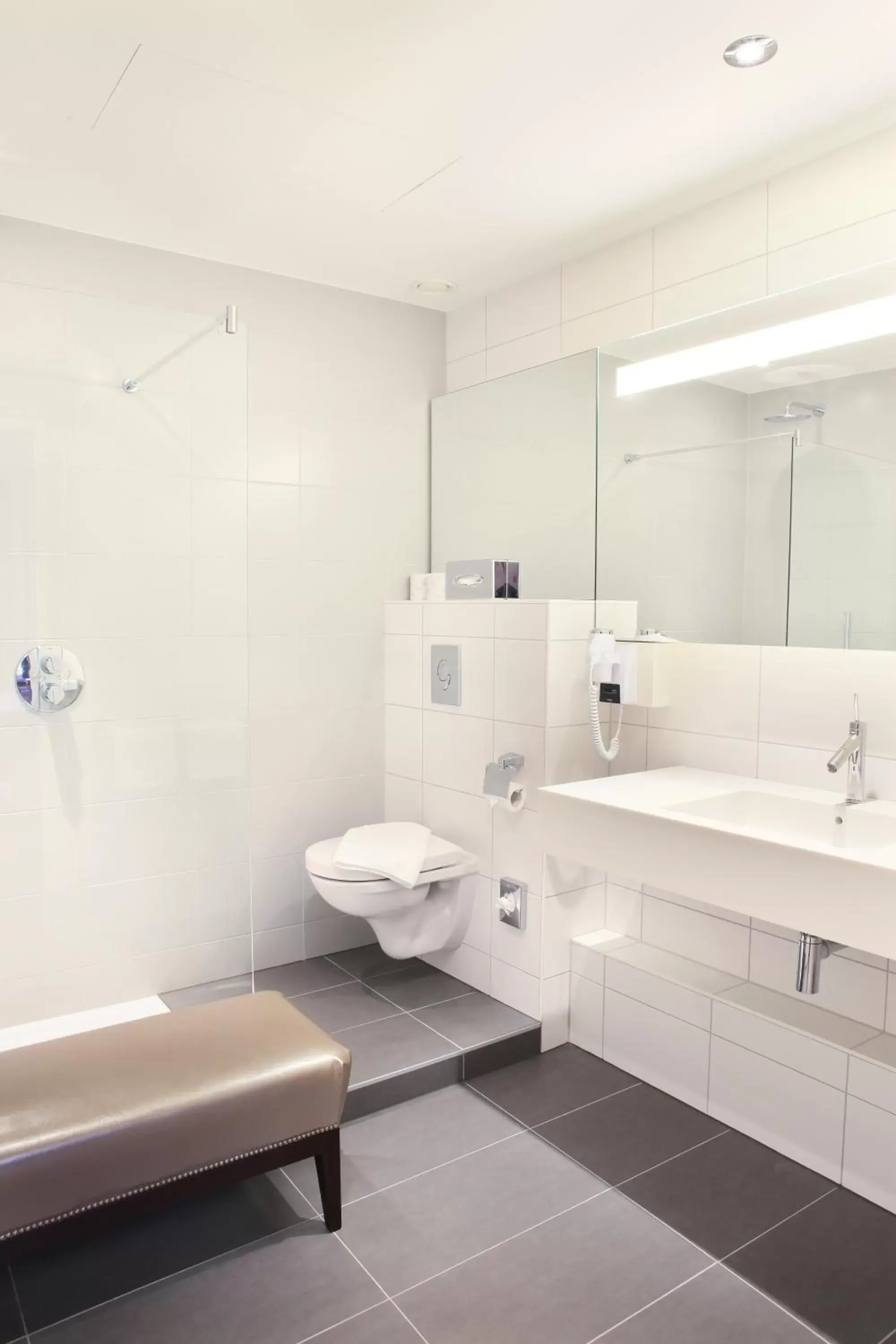 Deluxe Double Room in Logis Hôtel Ettenheim Deluxe Double Room in Logis Hôtel Ettenheim