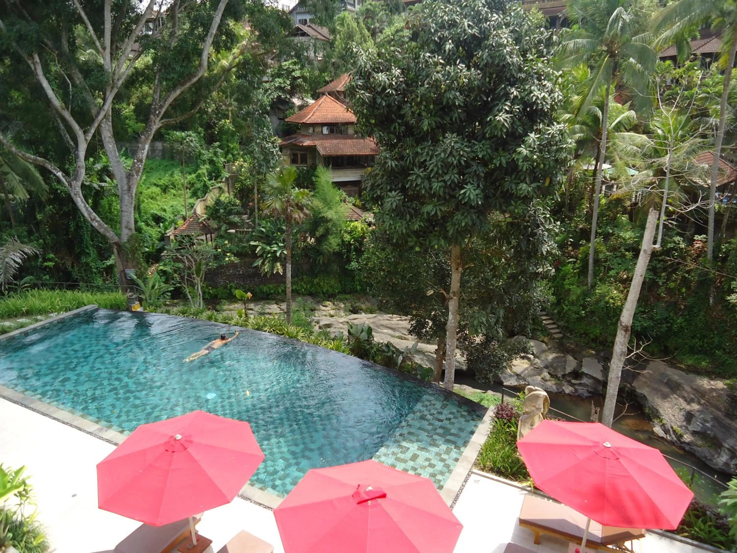 Day in Labak River Hotel by EPS