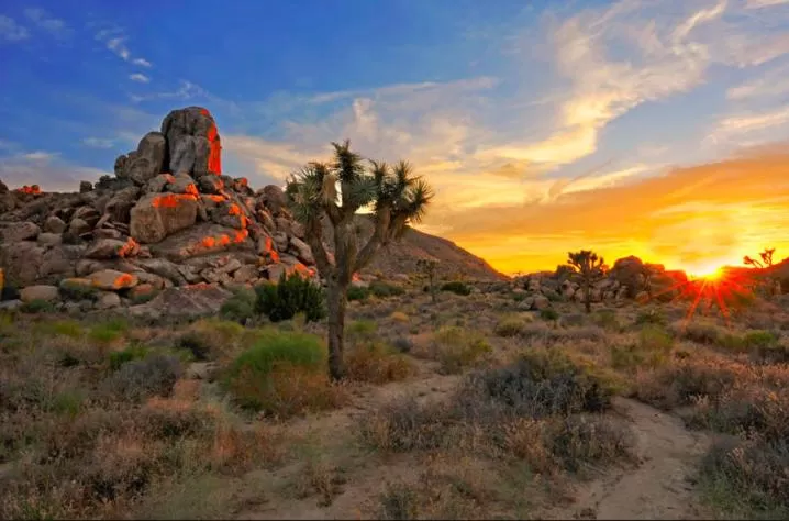 Nearby landmark in Economy Inn Barstow