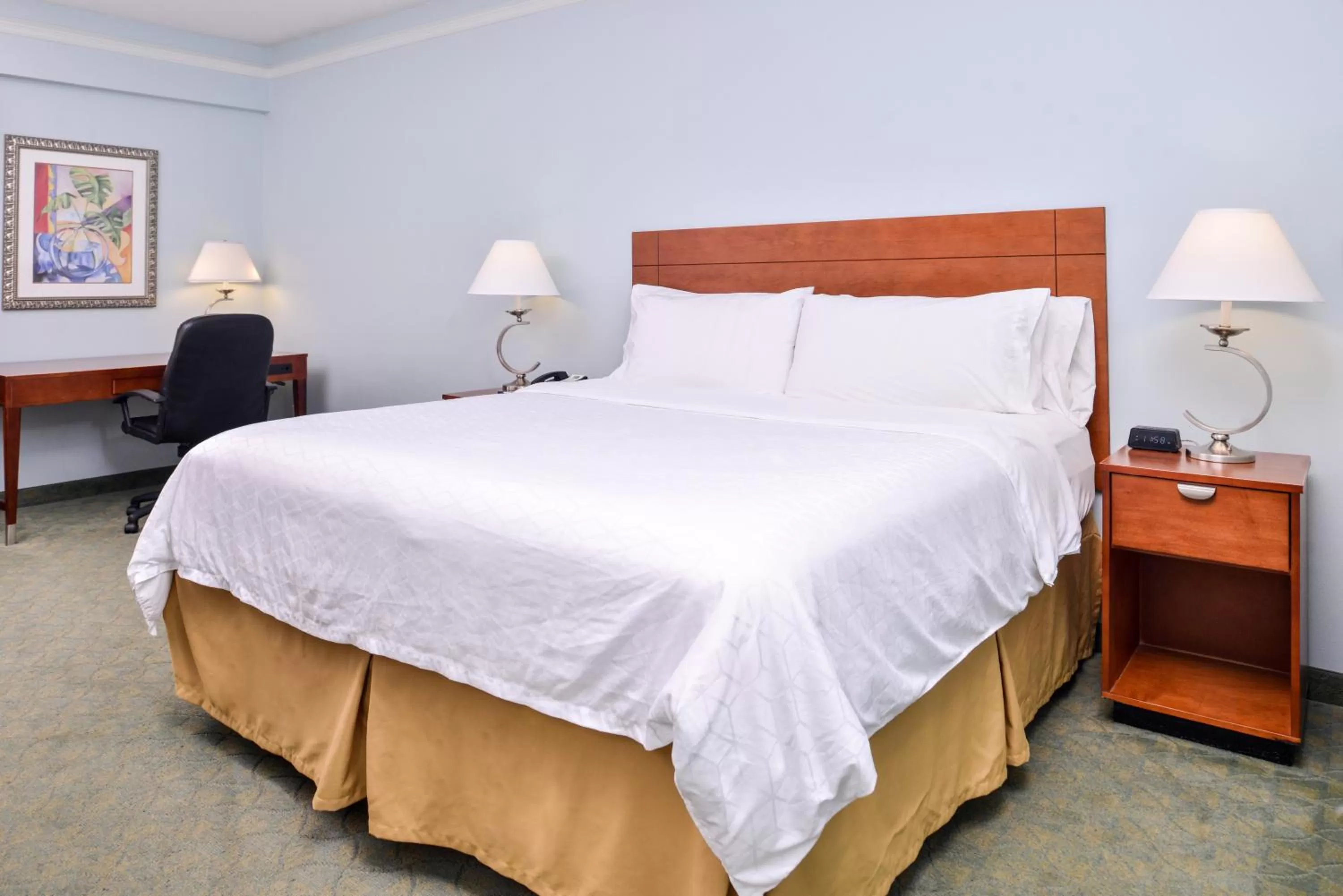 Photo of the whole room, Bed in Holiday Inn Express Tampa North Telecom Park by IHG