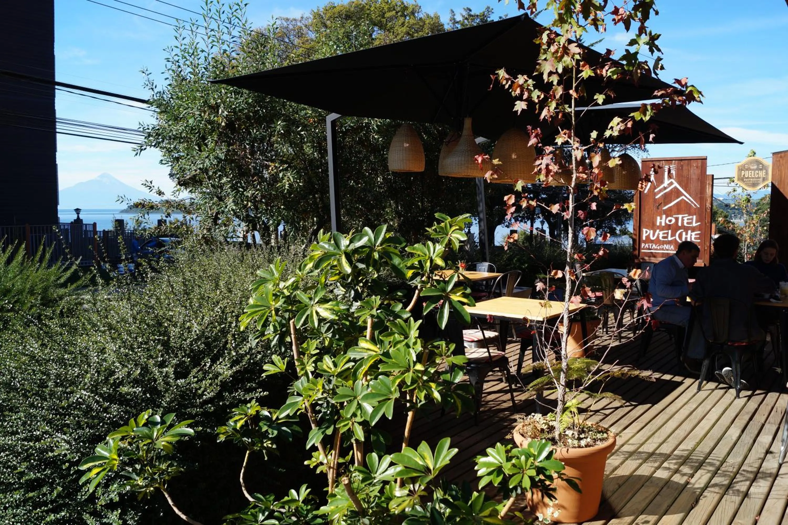 Balcony/Terrace in Hotel Puelche
