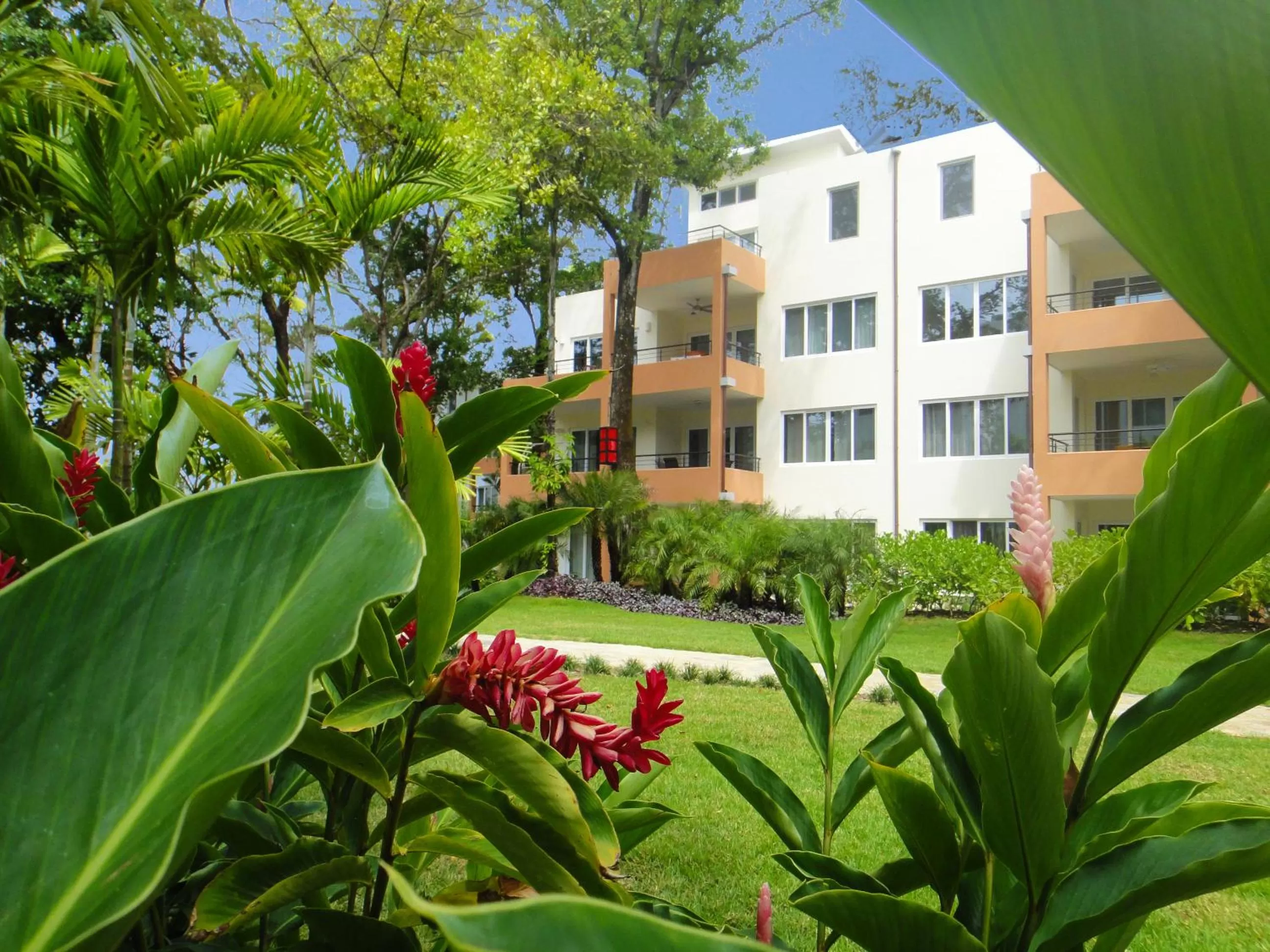 Natural landscape in Instyle Residences at Infiniti Blu