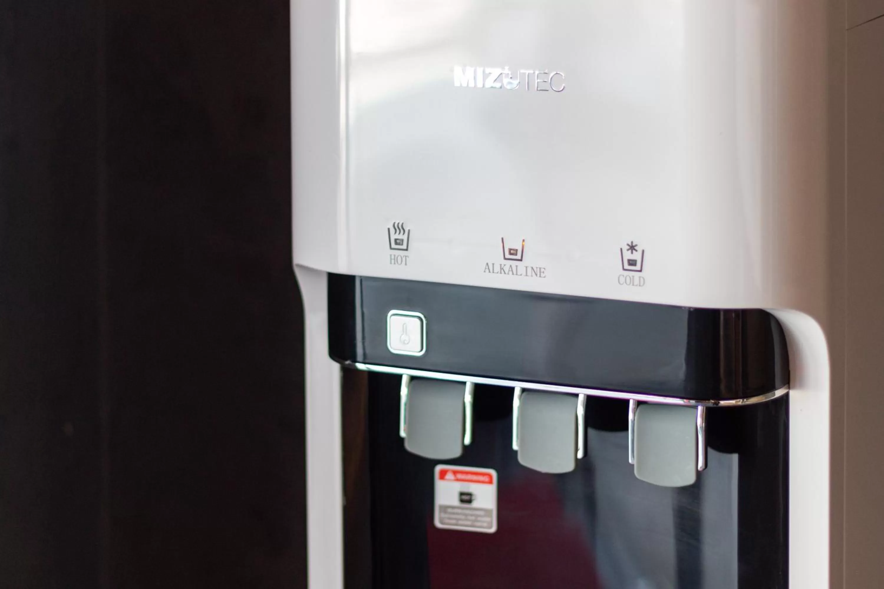 Area and facilities in Bagan Suite