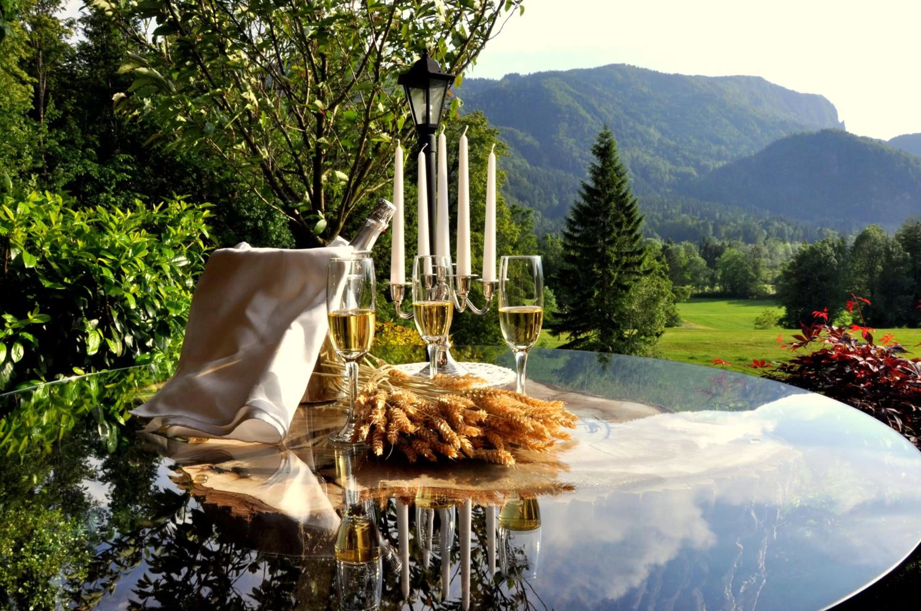 Balcony/Terrace in Nature Hotel Lukanc