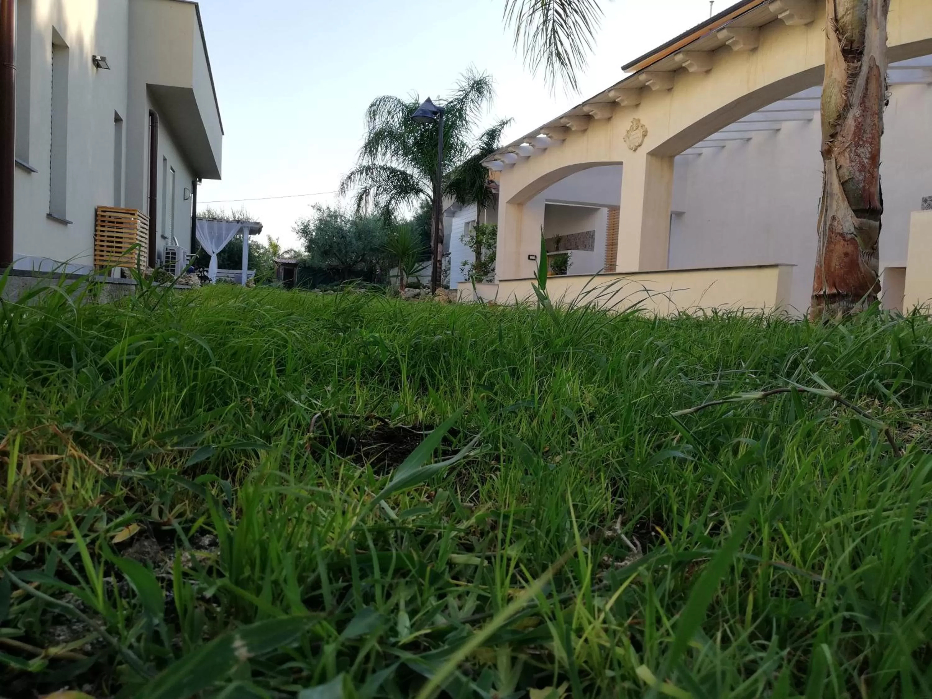 Garden in B&B Villa Kairos