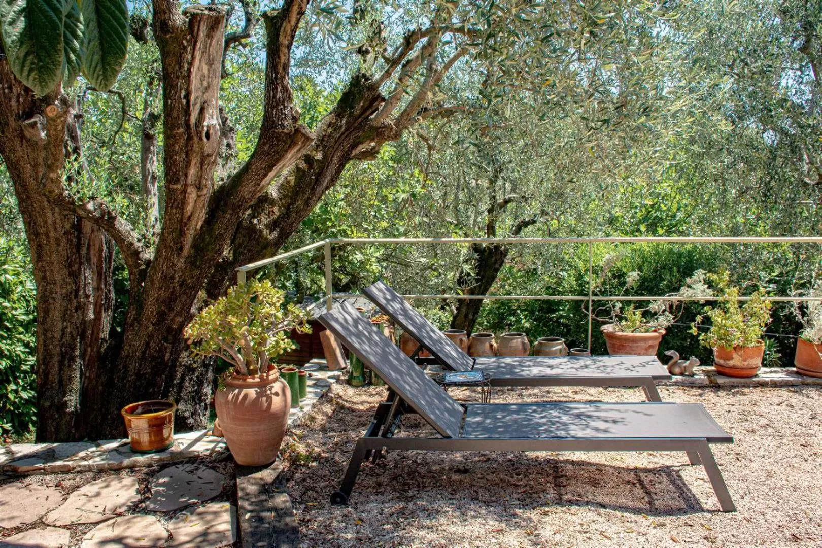 Le Clos des Oliviers 188 chemin du Hameau des Bourges 06650 Le Rouret