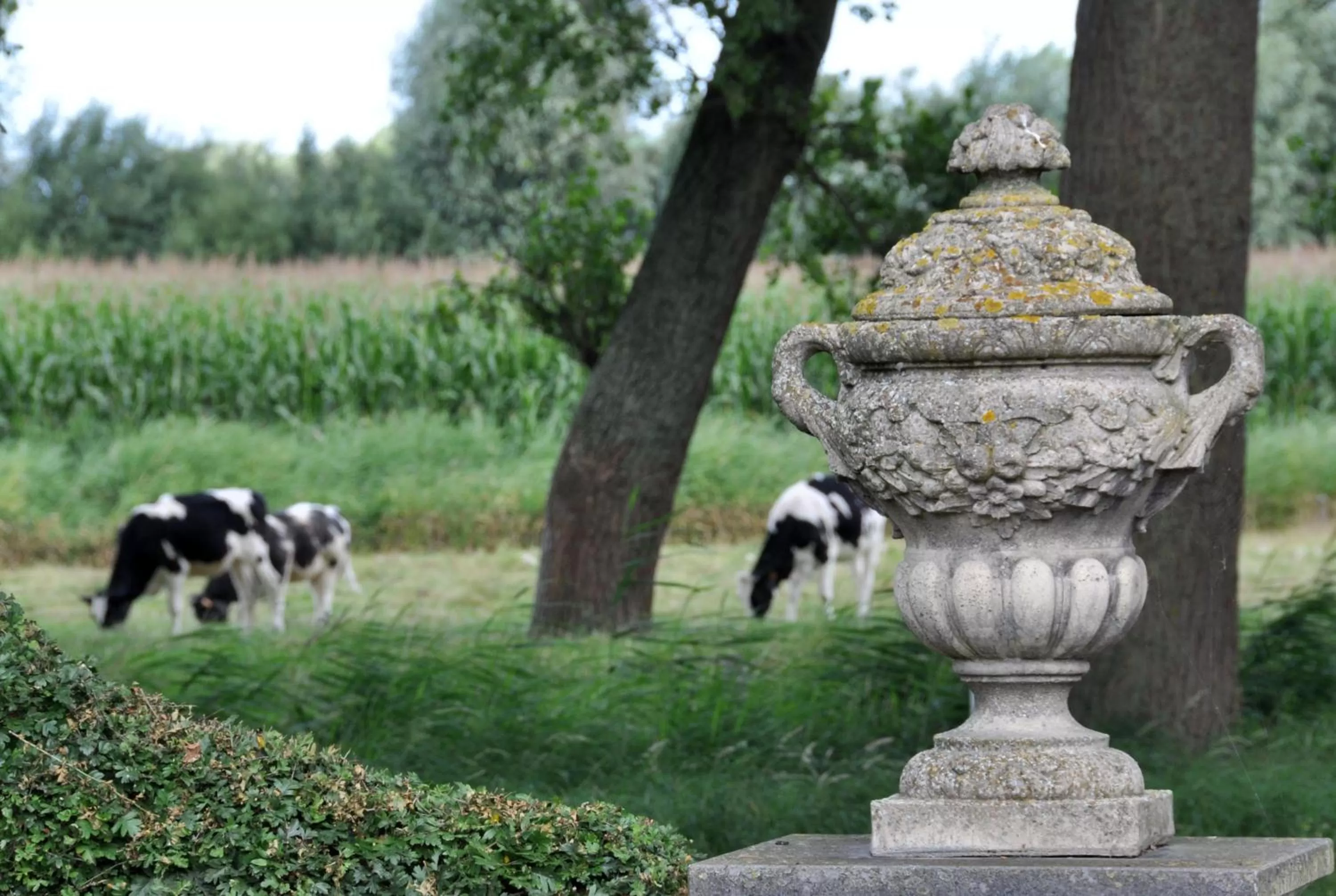 View (from property/room) in Boutique hotel Het Bloemenhof