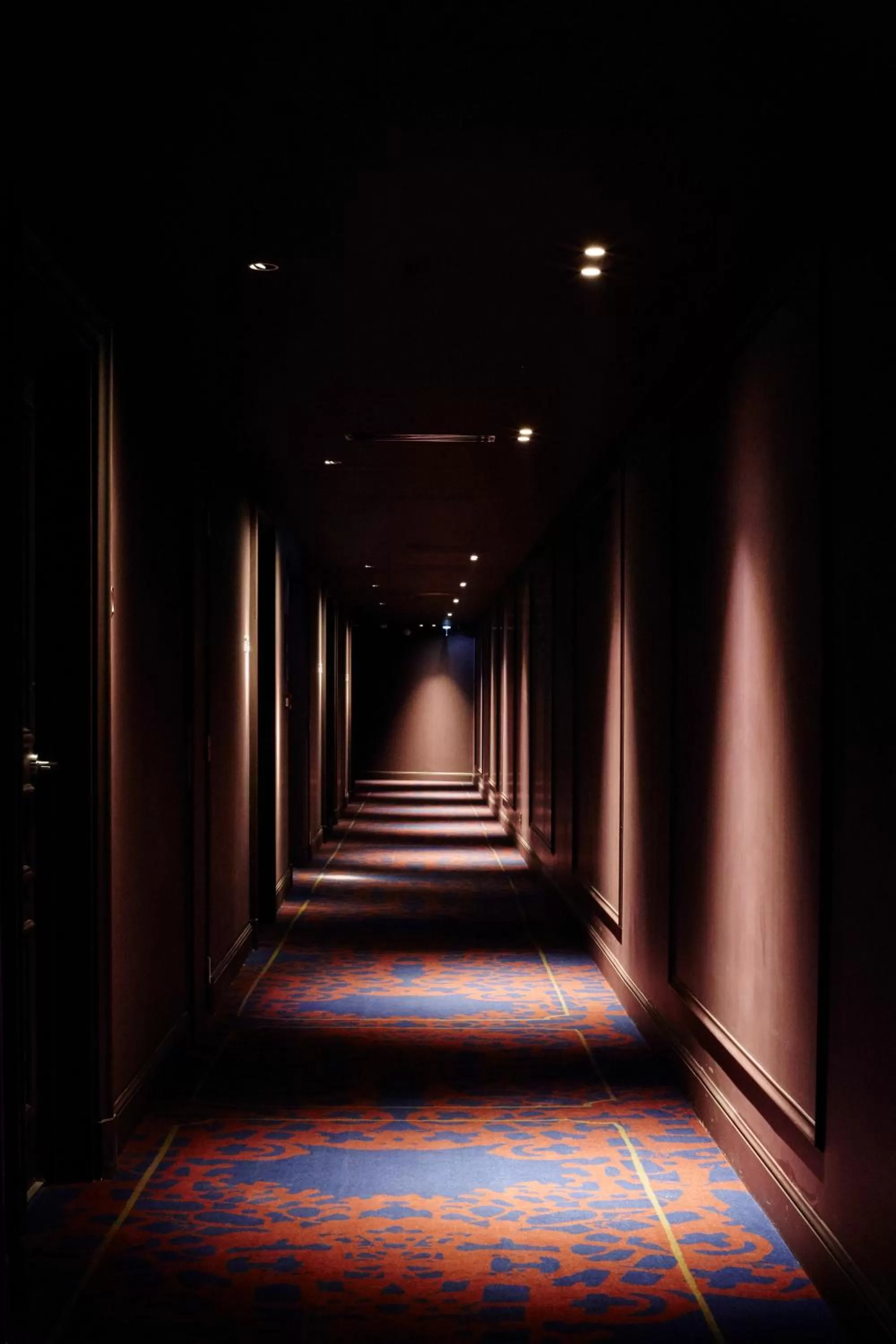 Area and facilities in La Licorne Hotel & Spa Troyes - MGallery Collection