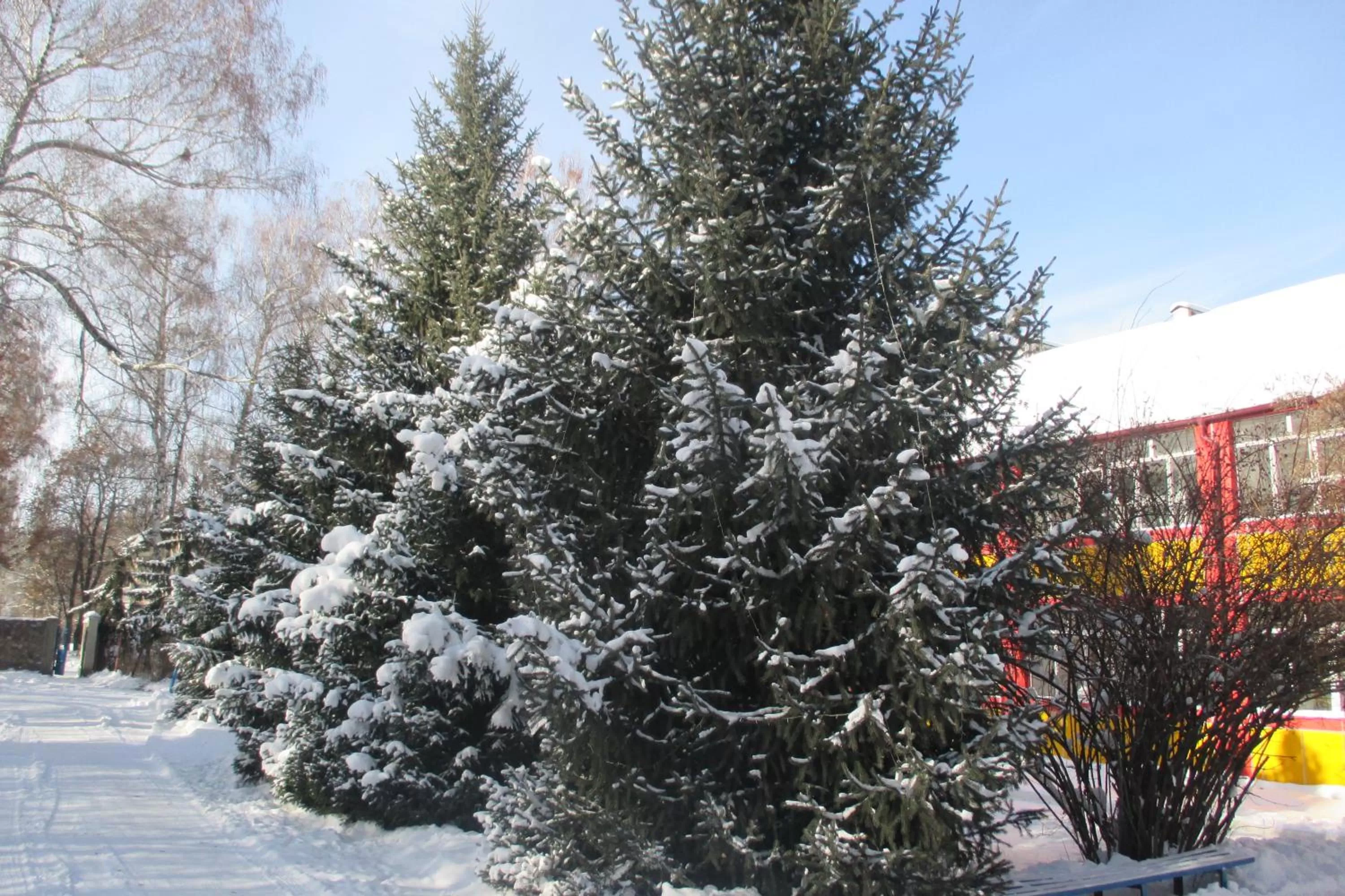 Facade/entrance in Otel Issyk-Kul Karakol