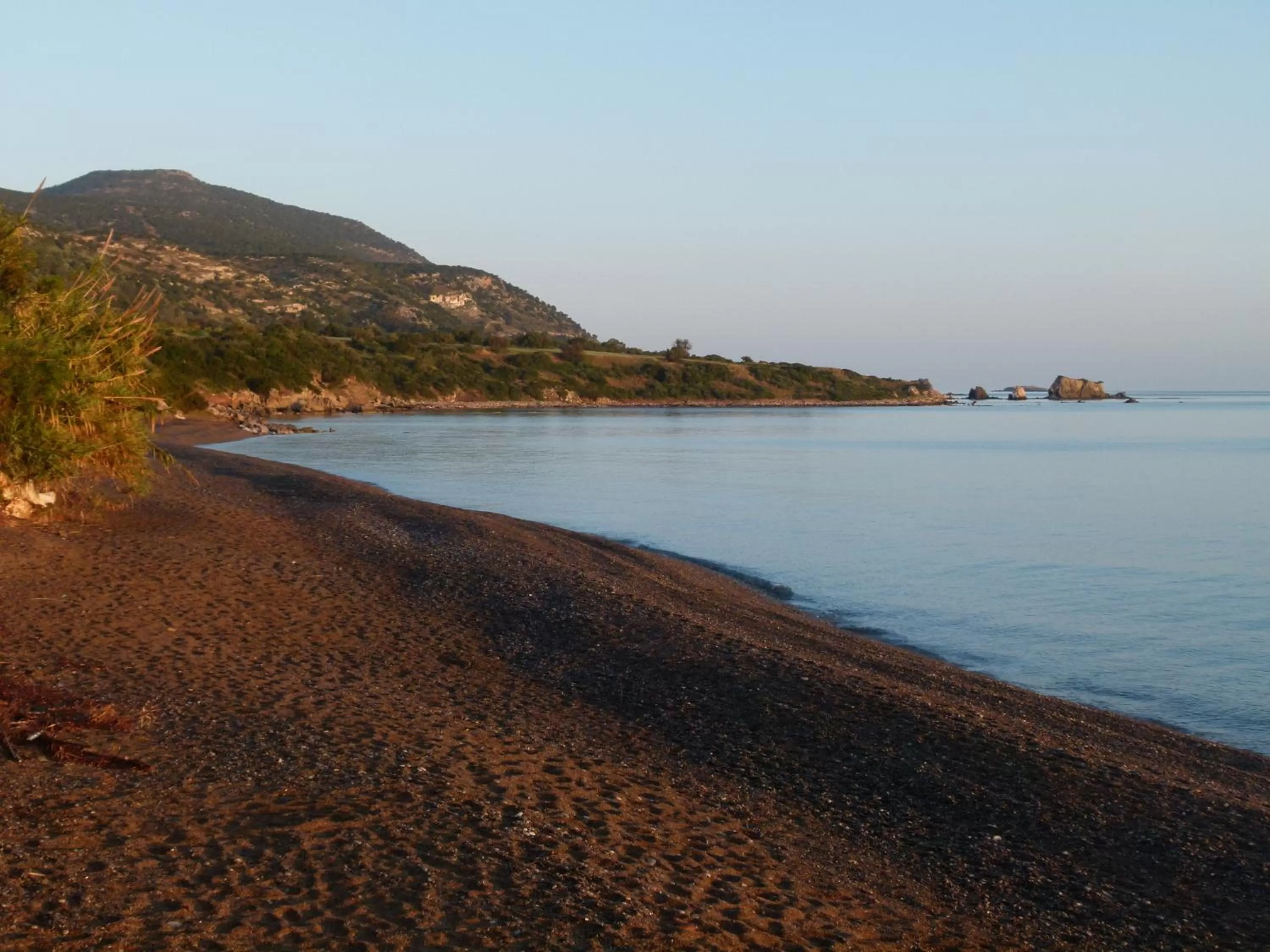 Beach in Aphrodite Beach Hotel