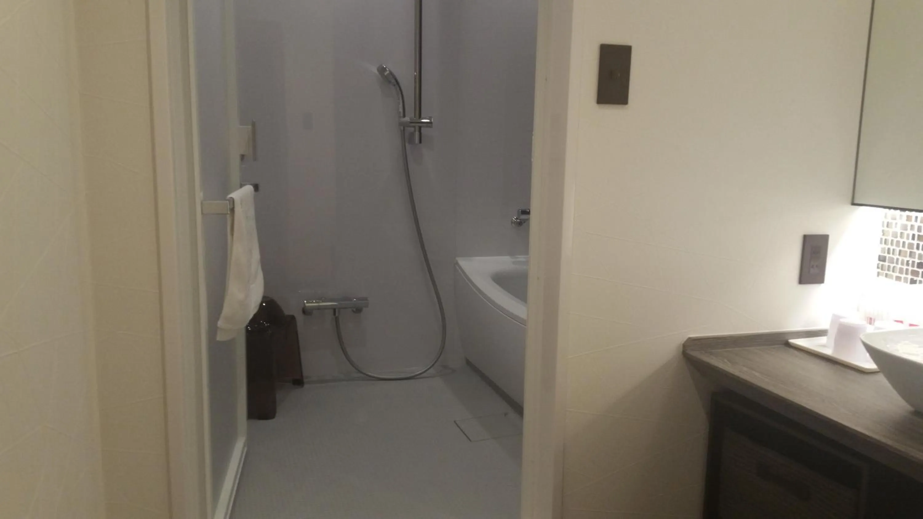 Bathroom in Takamatsu Tokyu REI Hotel