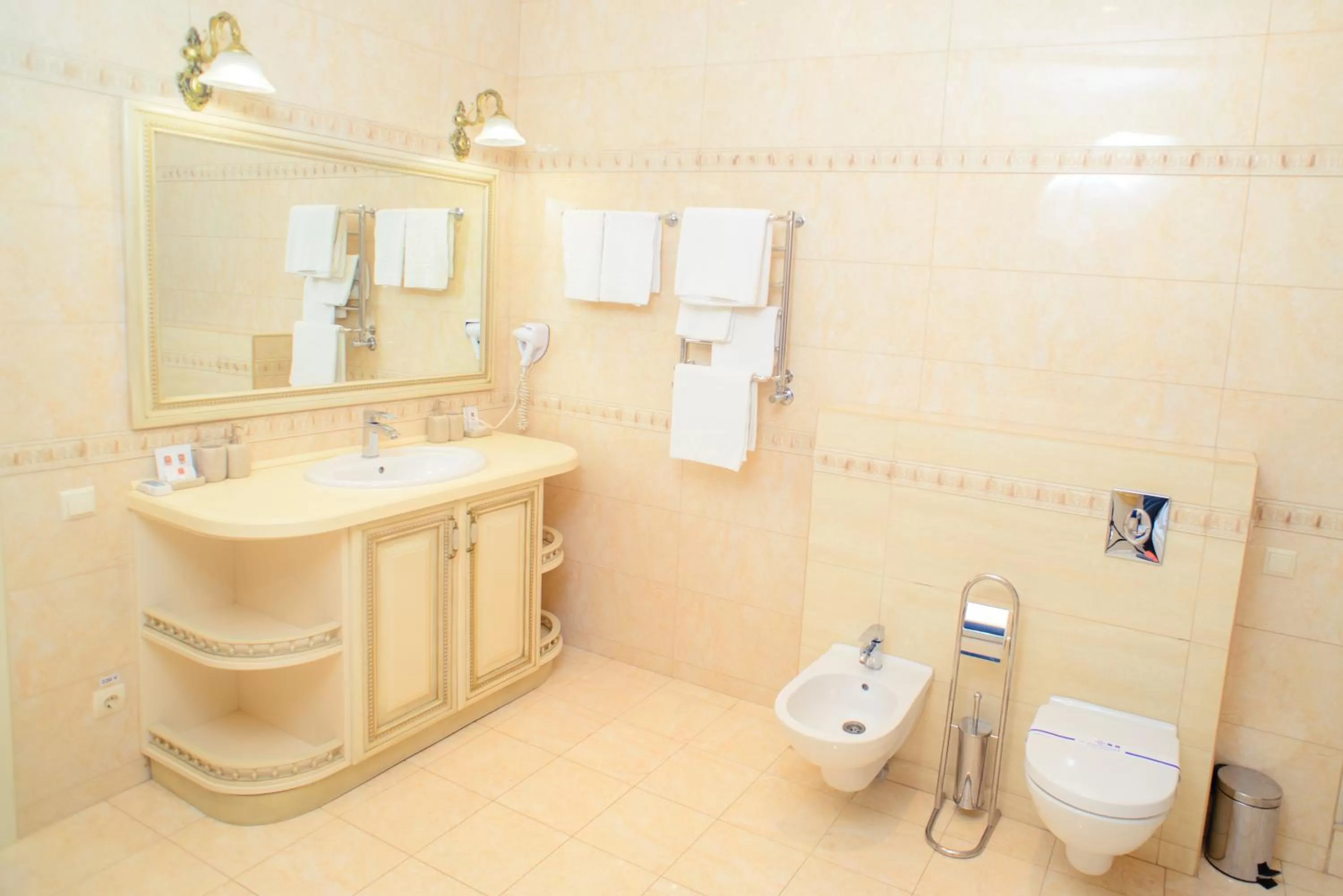 Bathroom in Petrovskyi Brovar