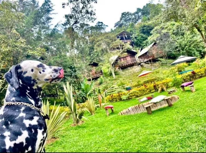 Cabañas Rústicas El Viejo Tambo By Rotamundos