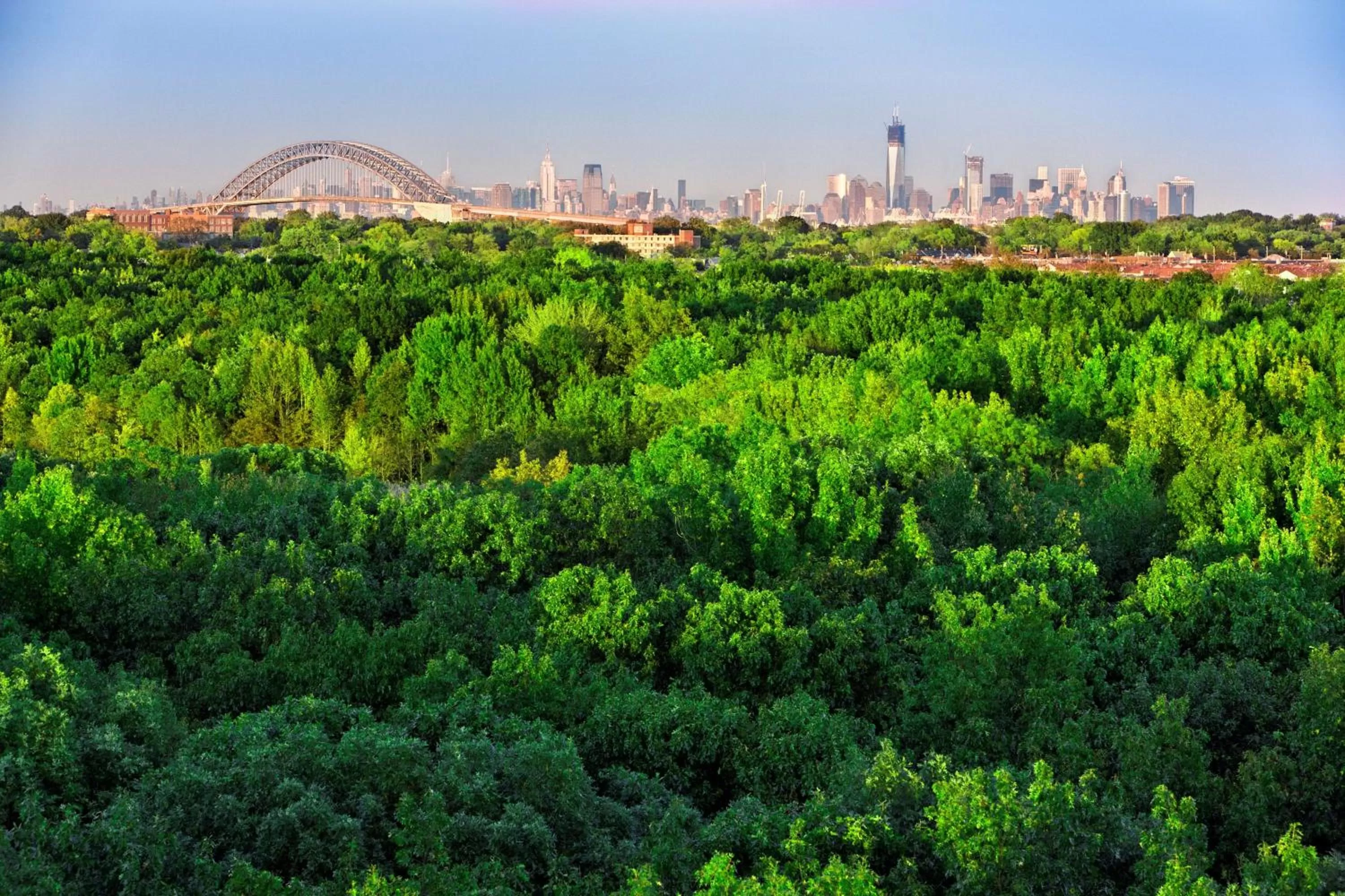 Restaurant/places to eat in Hilton Garden Inn New York/Staten Island