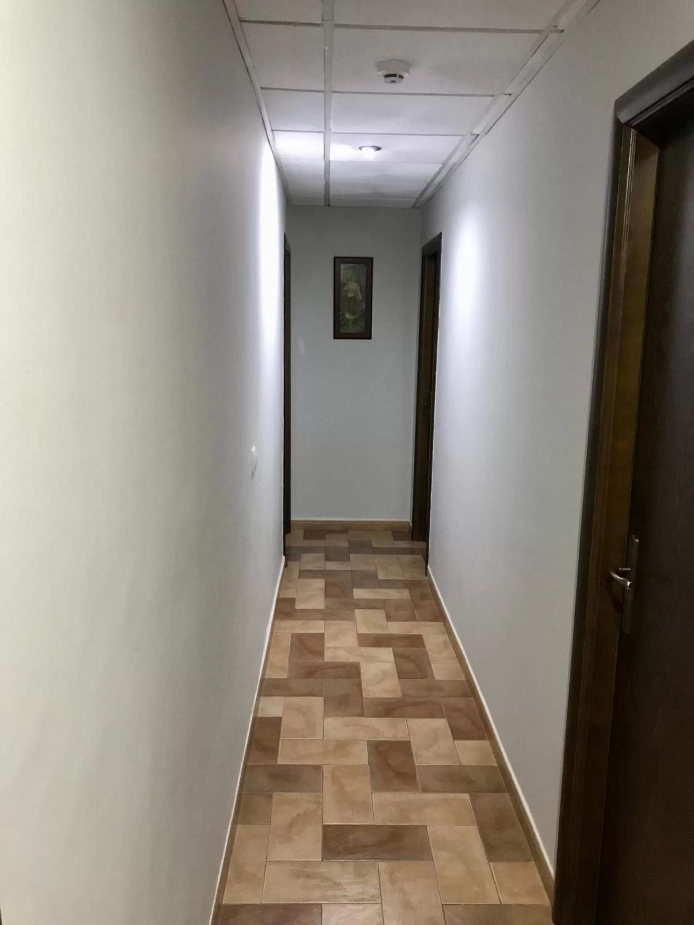 Area and facilities in Hotel Cervantes