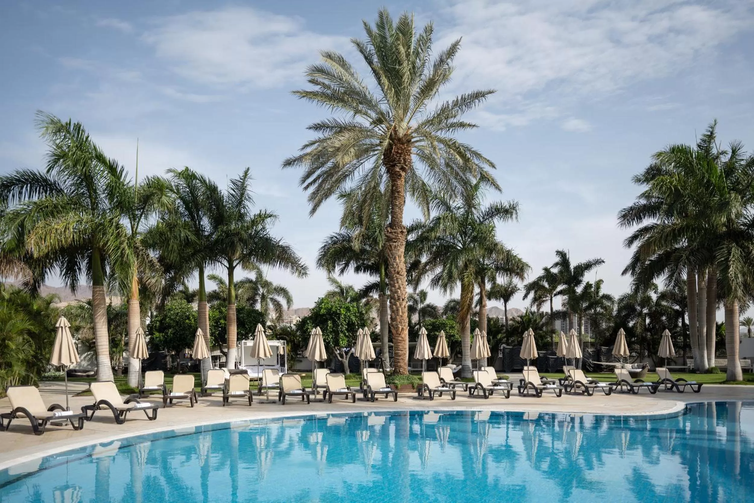 Swimming pool in Dan Panorama Eilat