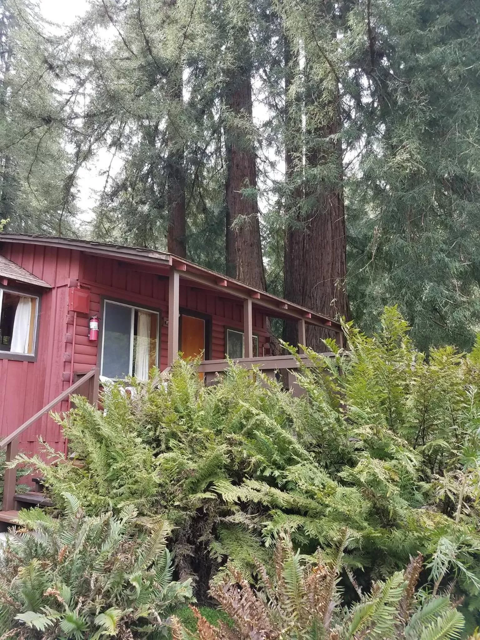 Property Building in Fern River Resort