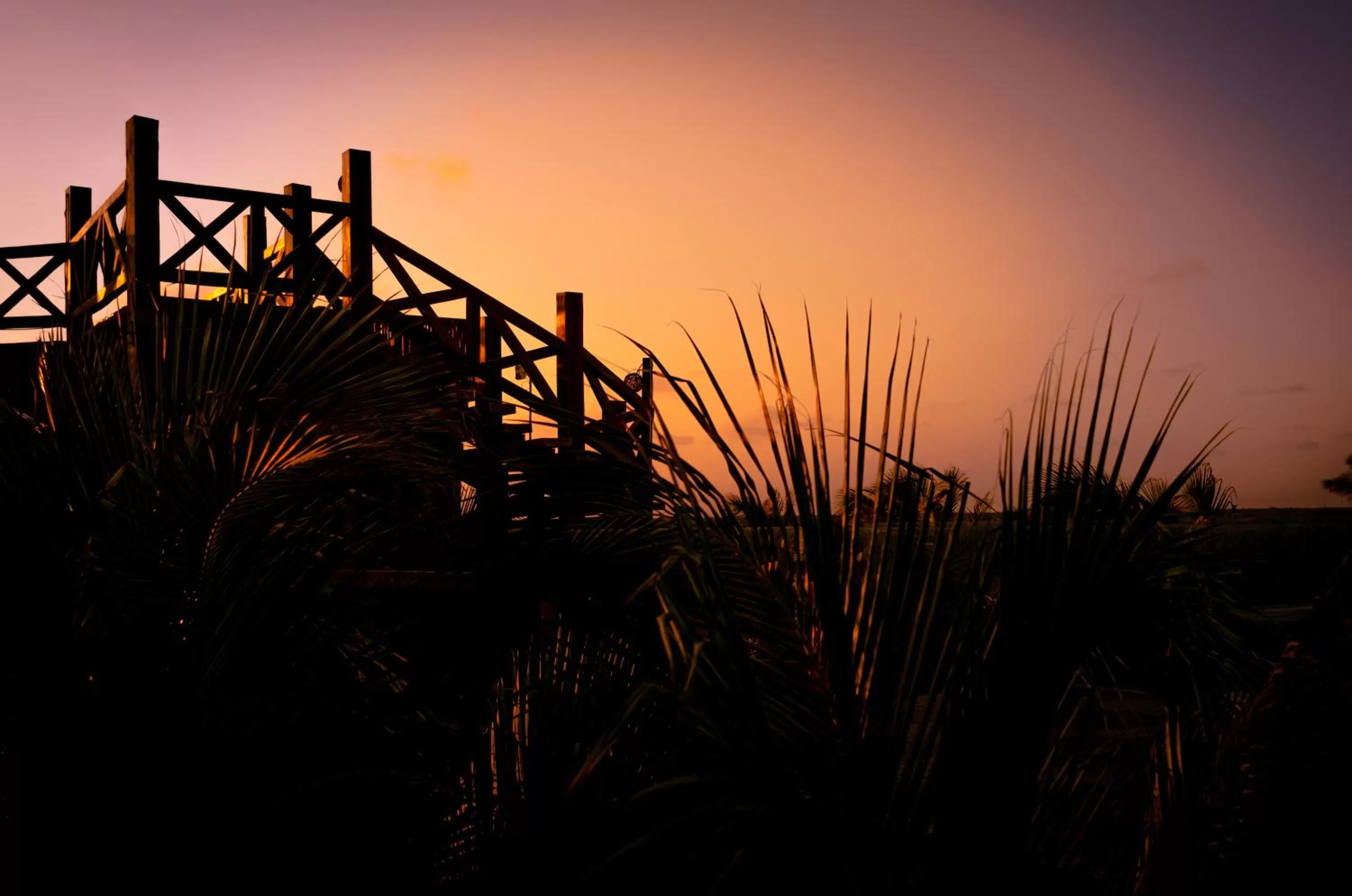 Balcony/Terrace in Hotelito Azul