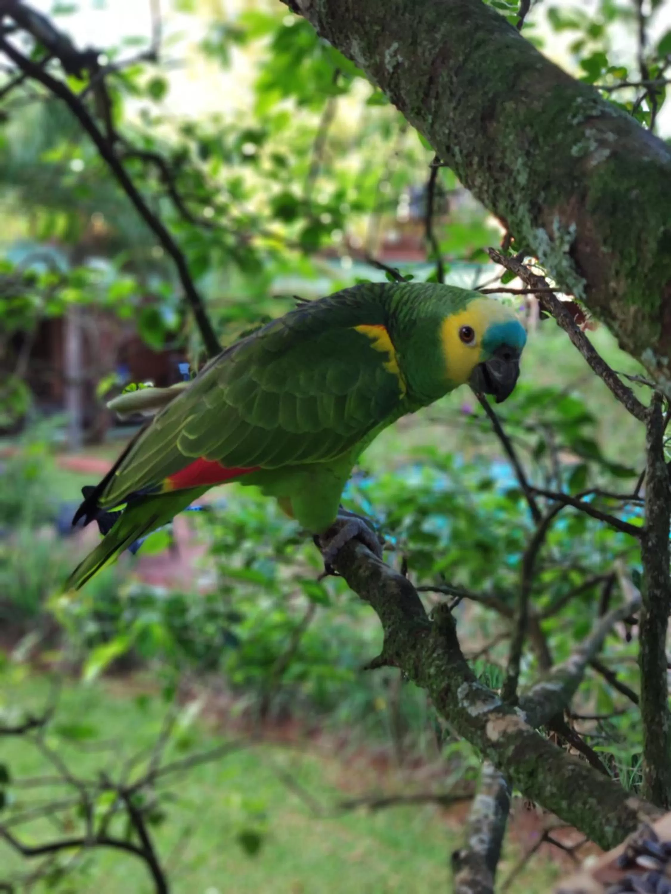 Off site in Posada 21 Oranges