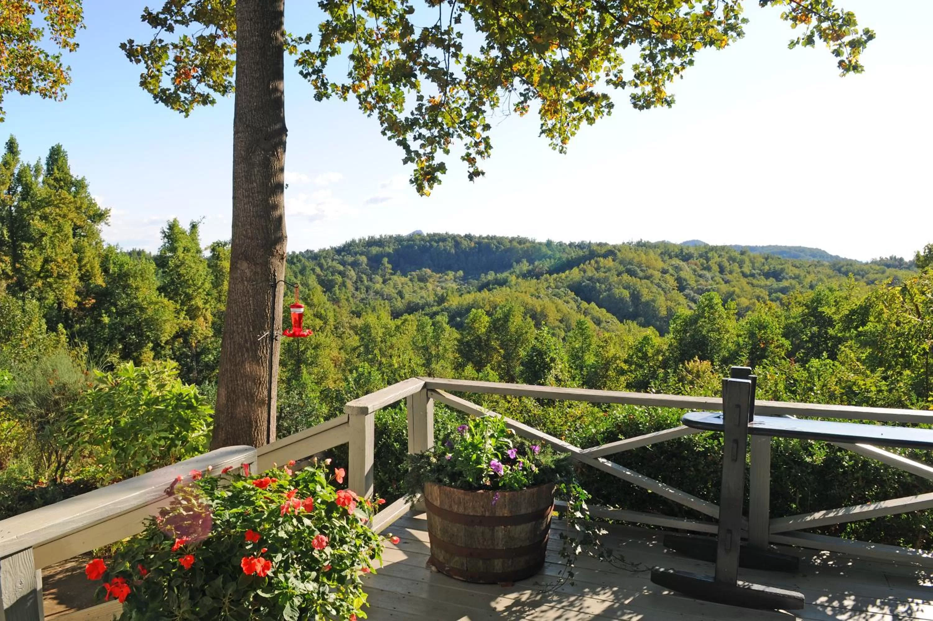Balcony/Terrace in Orchard Inn