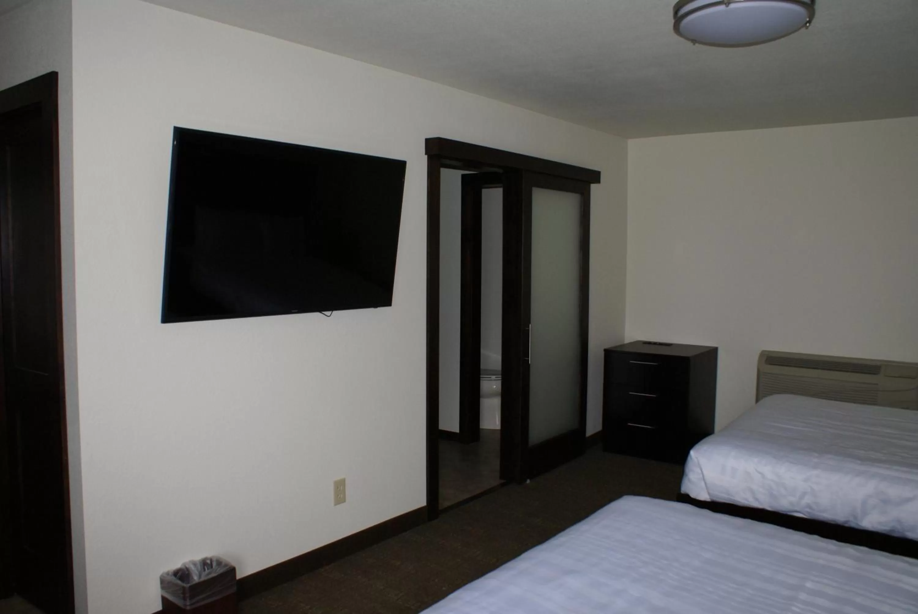 TV and multimedia in Boarders Inn & Suites by Cobblestone Hotels - Syracuse