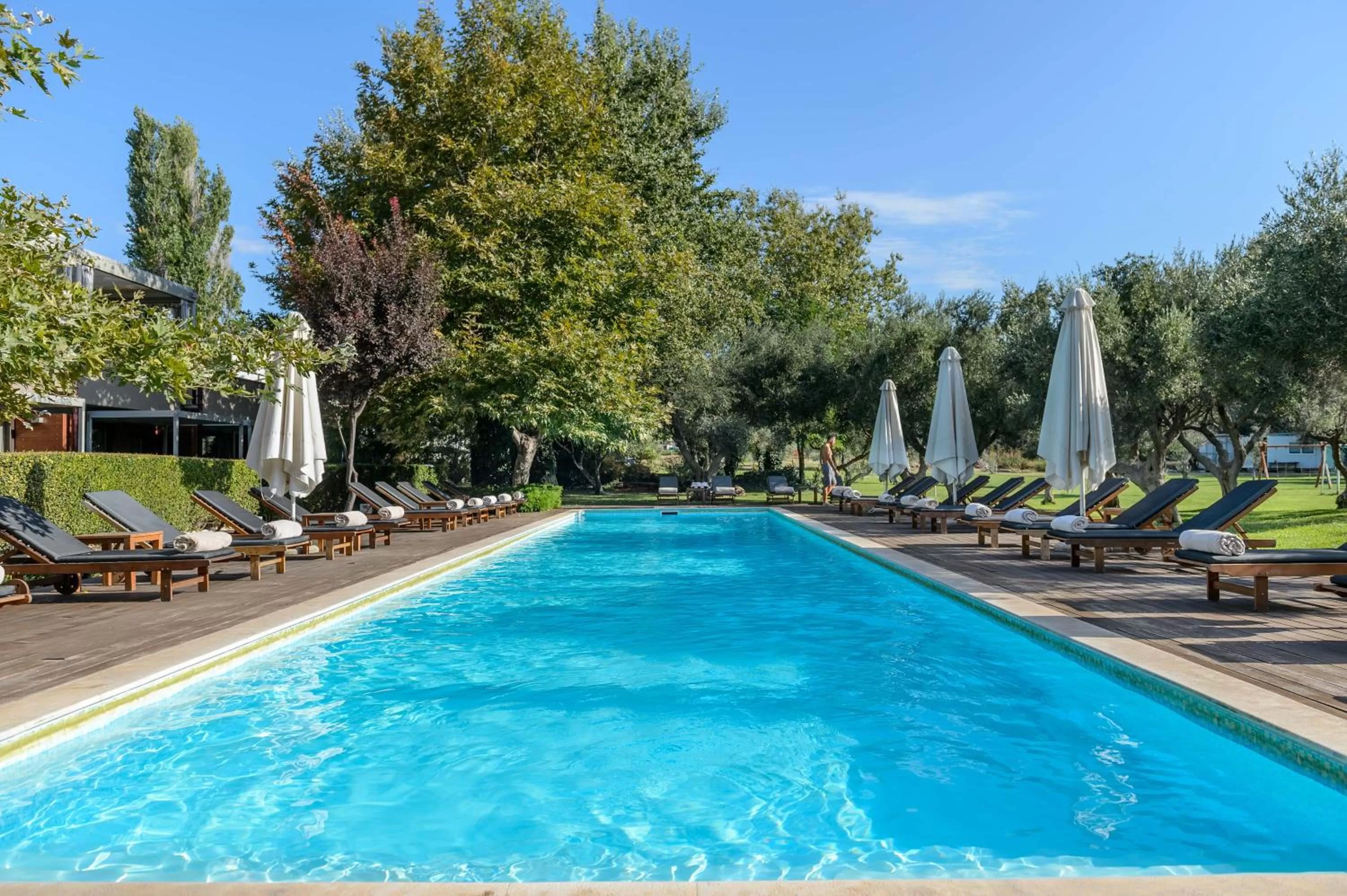 Swimming pool in Alexander Beach Hotel & Spa