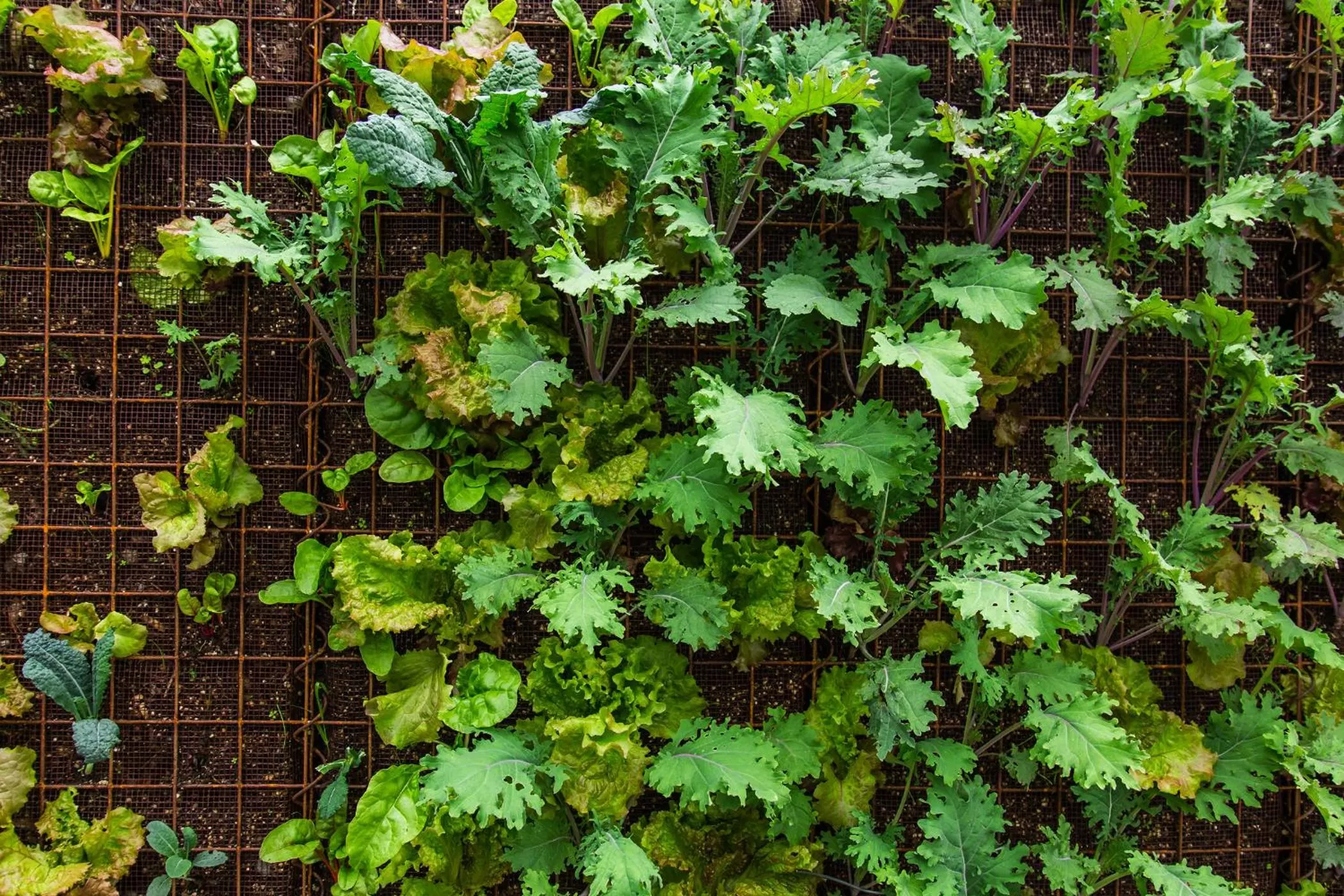 The Front Porch Hidden Oasis