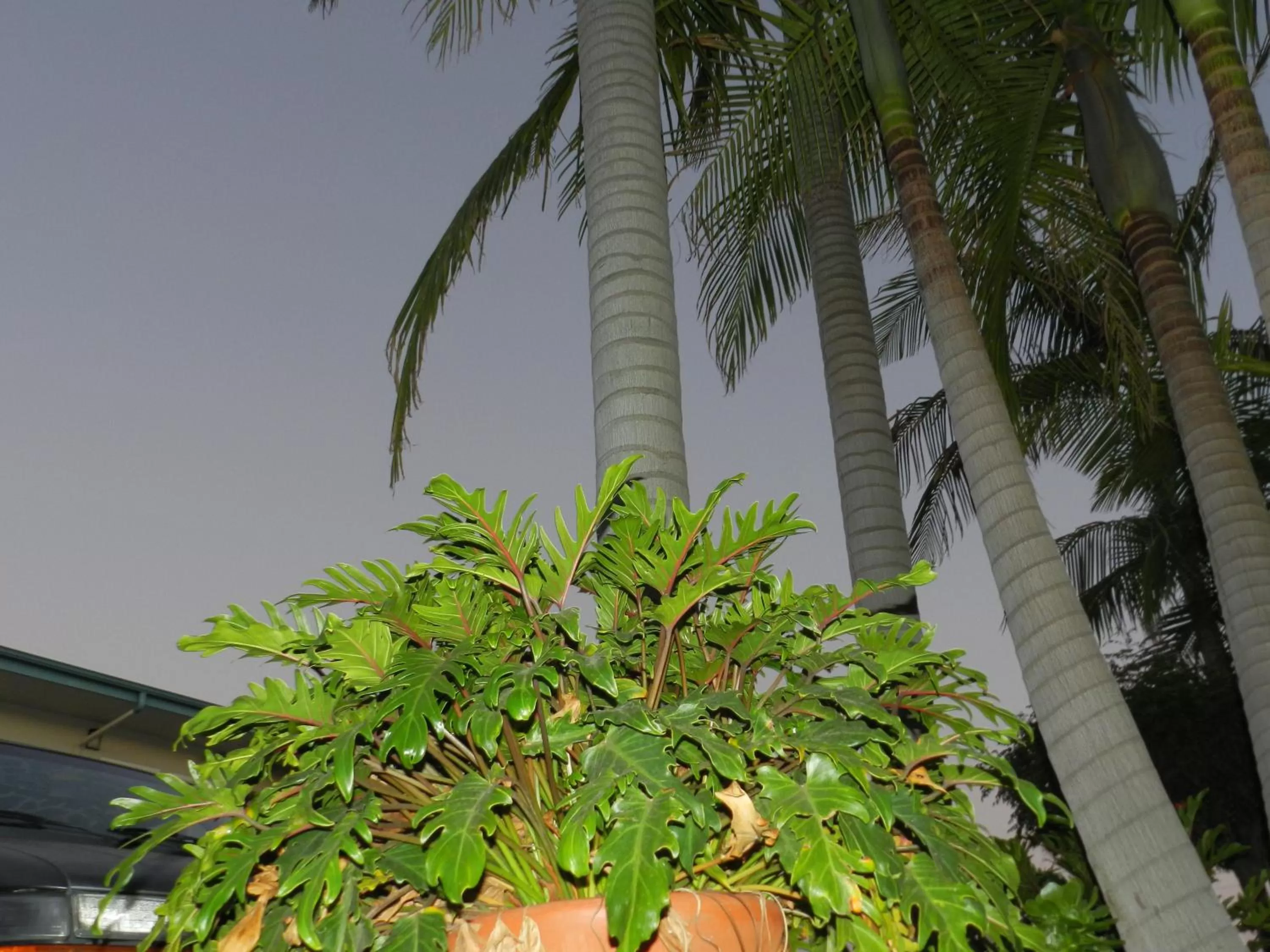 Other in Seaside Motel