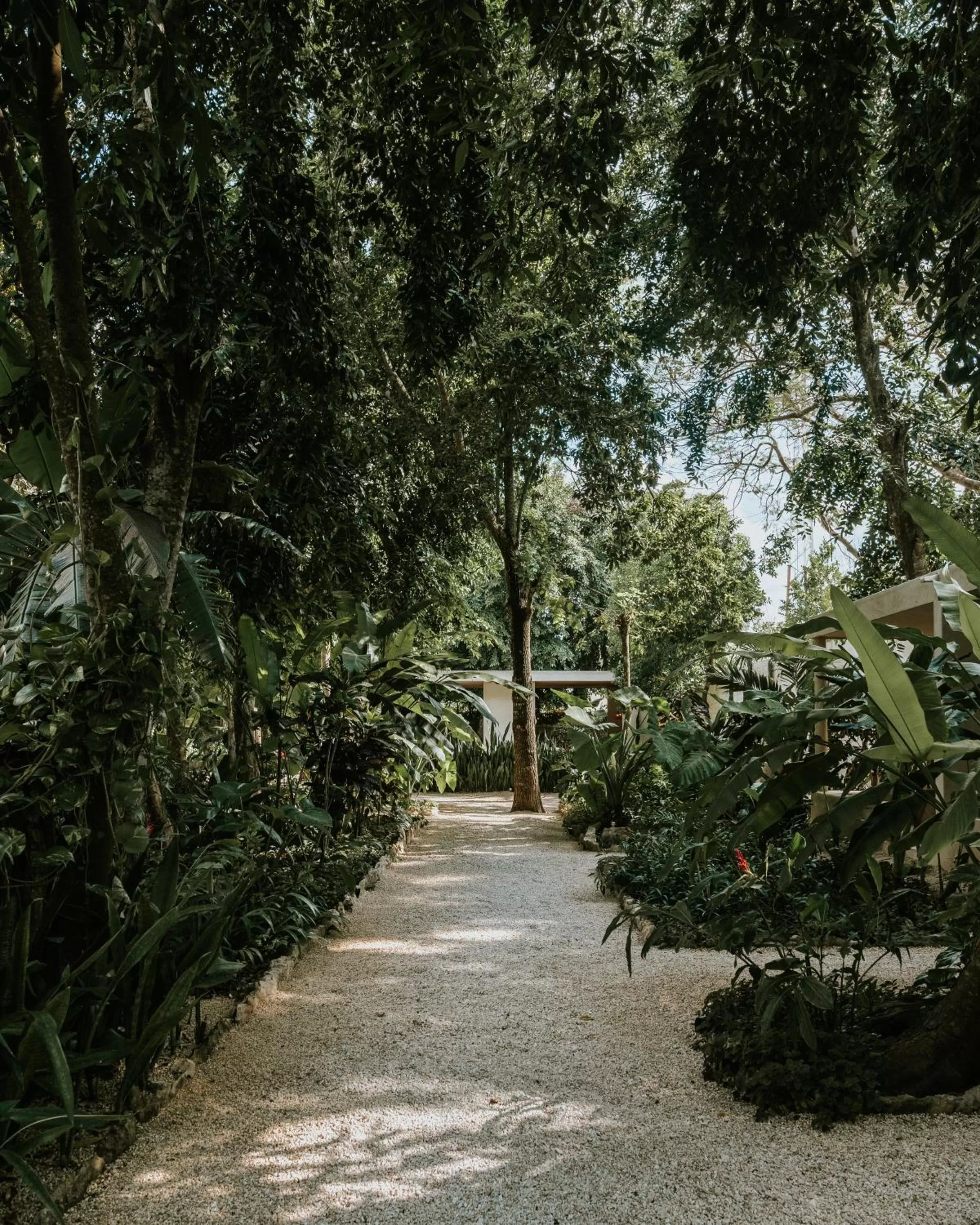 Natural landscape in Casona los Cedros