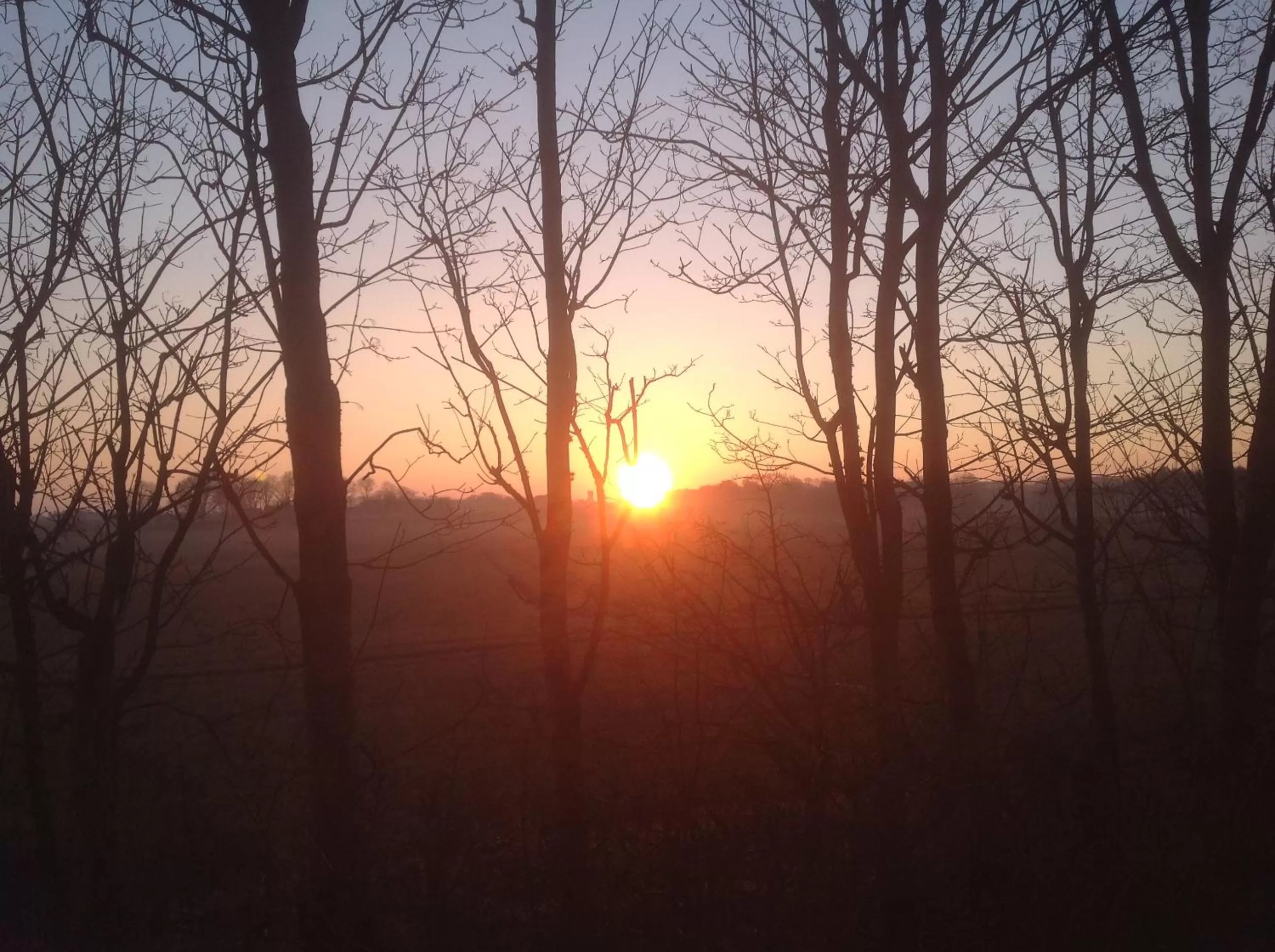 Other in Motel Viborg